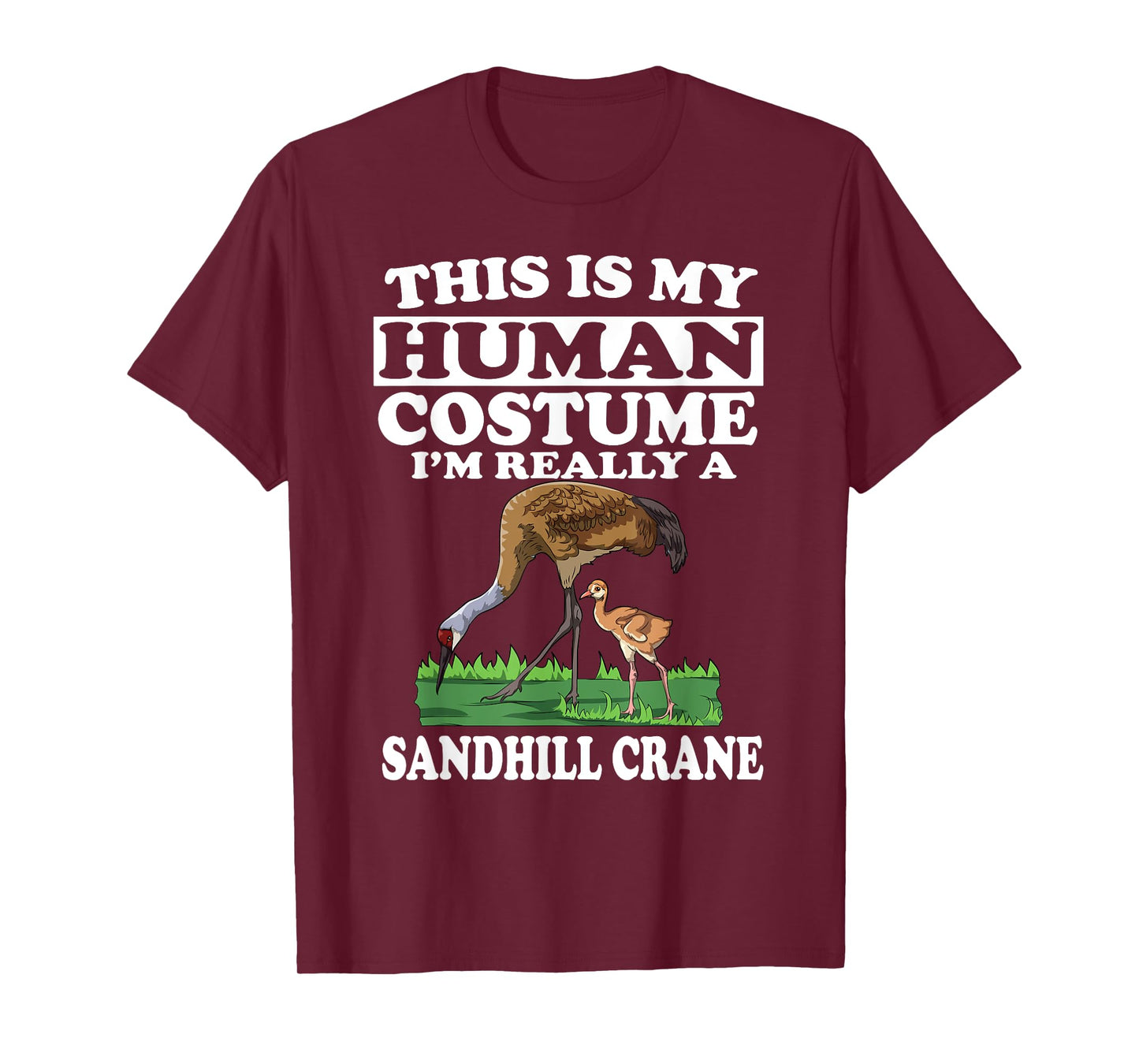 This Is My Human Costume I'm Really A Sandhill Crane Birding T-Shirt
