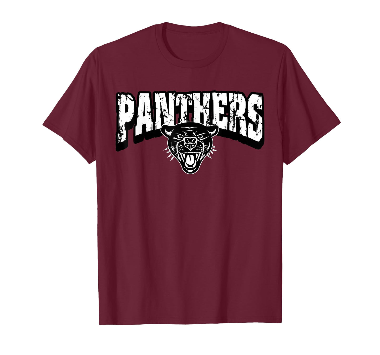 Panthers Back to School Spirit T-Shirt