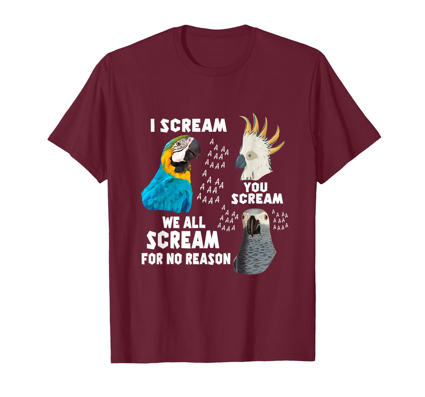I Scream You Scream We All Scream For No Reason Birds T-Shirt