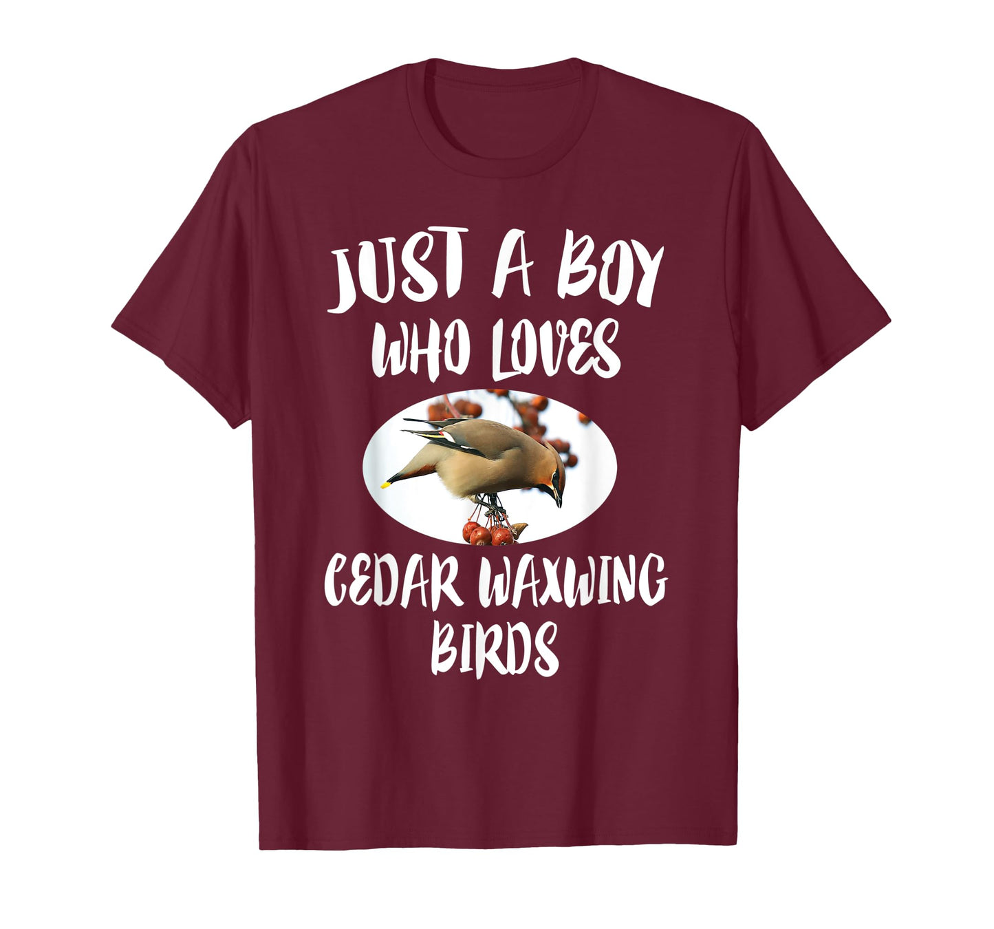 Just A Boy Who Loves Cedar Waxwing Birds Gift T-Shirt