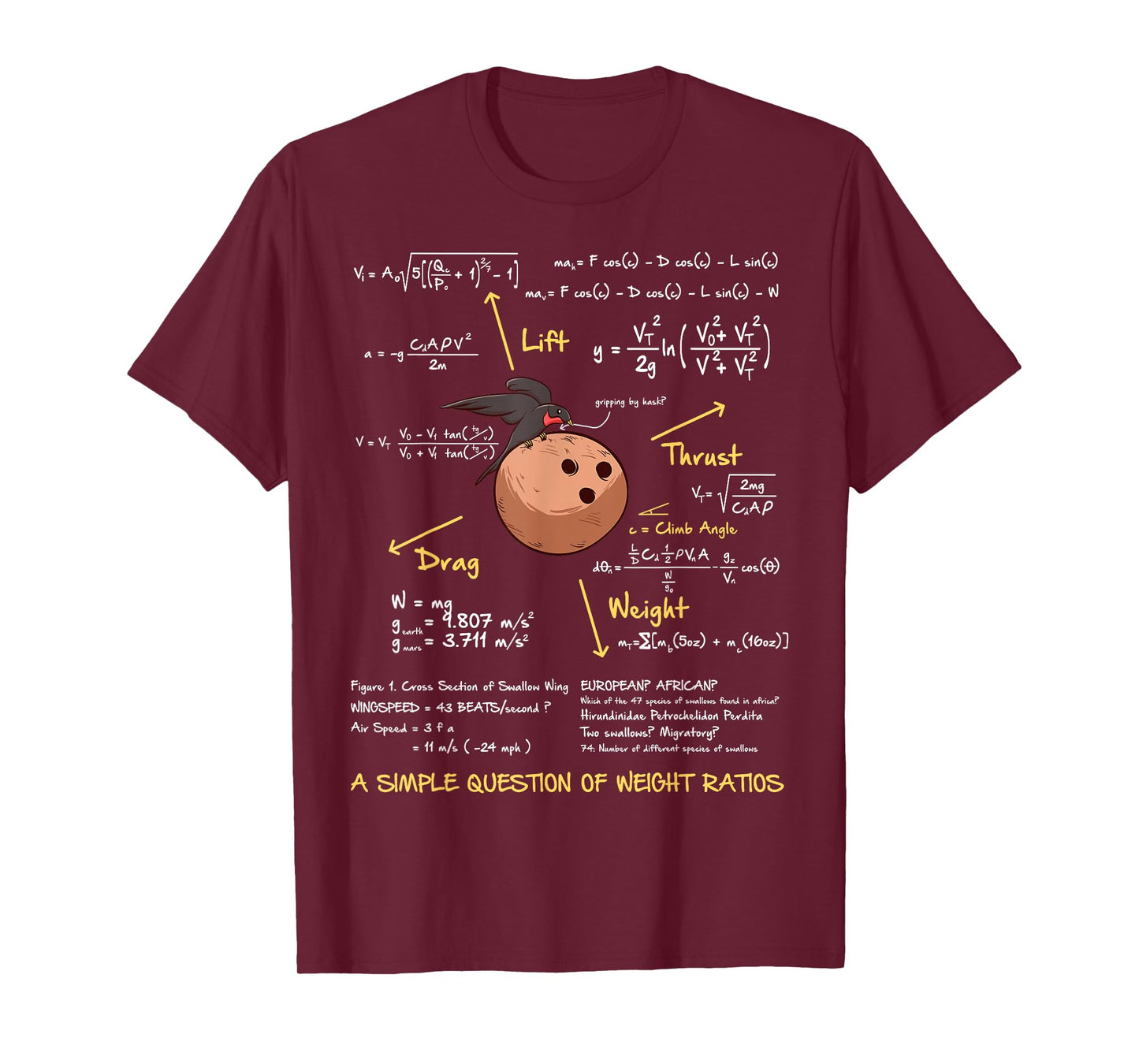 Simple Question of Weight Ratio Funny Math Teacher Geek T-Shirt