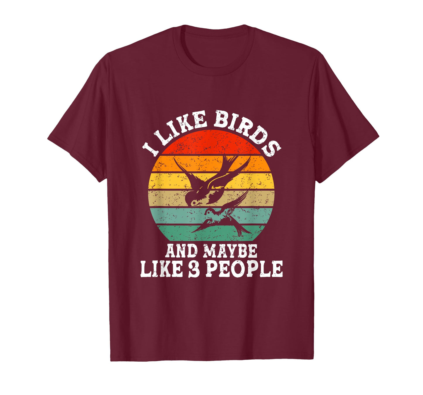 I Like Birds And Maybe 3 People Funny Retro T-Shirt