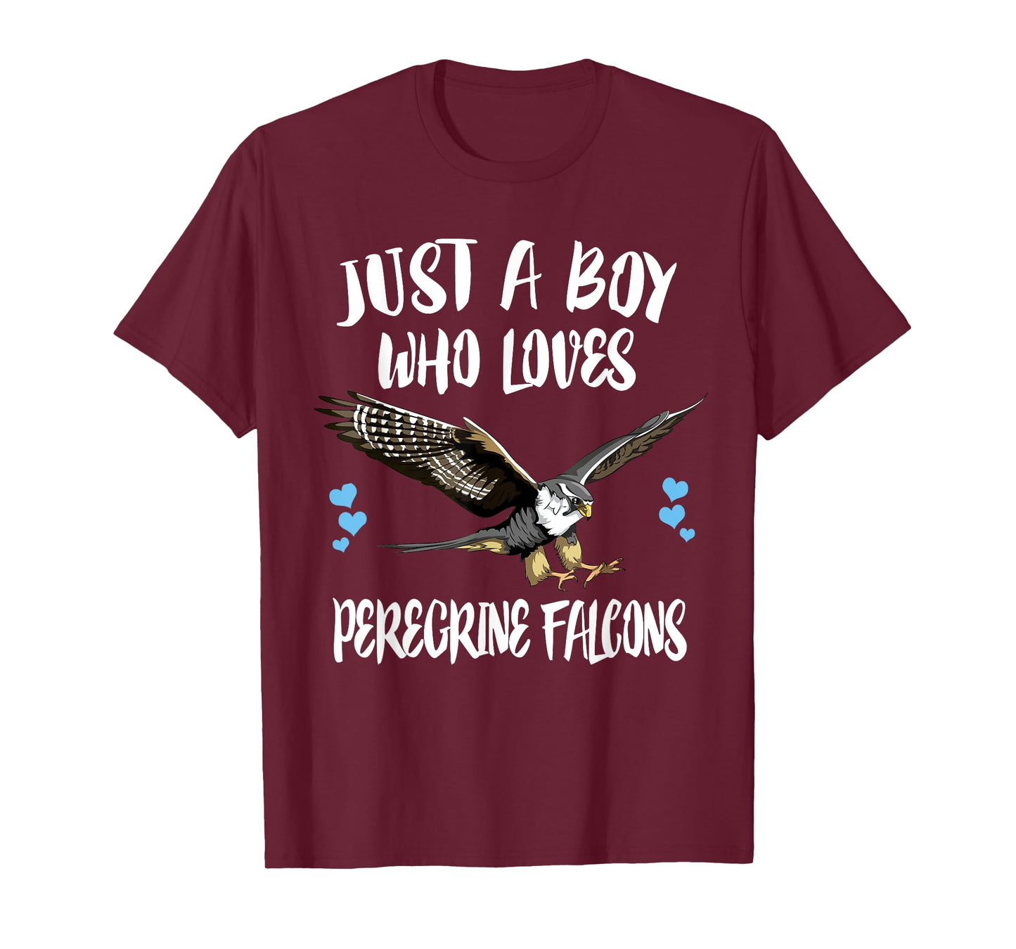 Just A Boy Who Loves Peregrine Falcons Birds T-Shirt