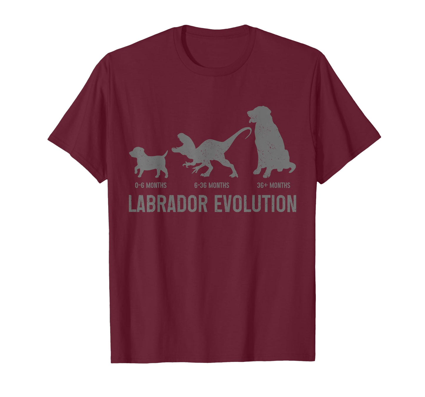 Labrador Evolution Funny Labrador Retriever Mom Dad Dog T-Shirt