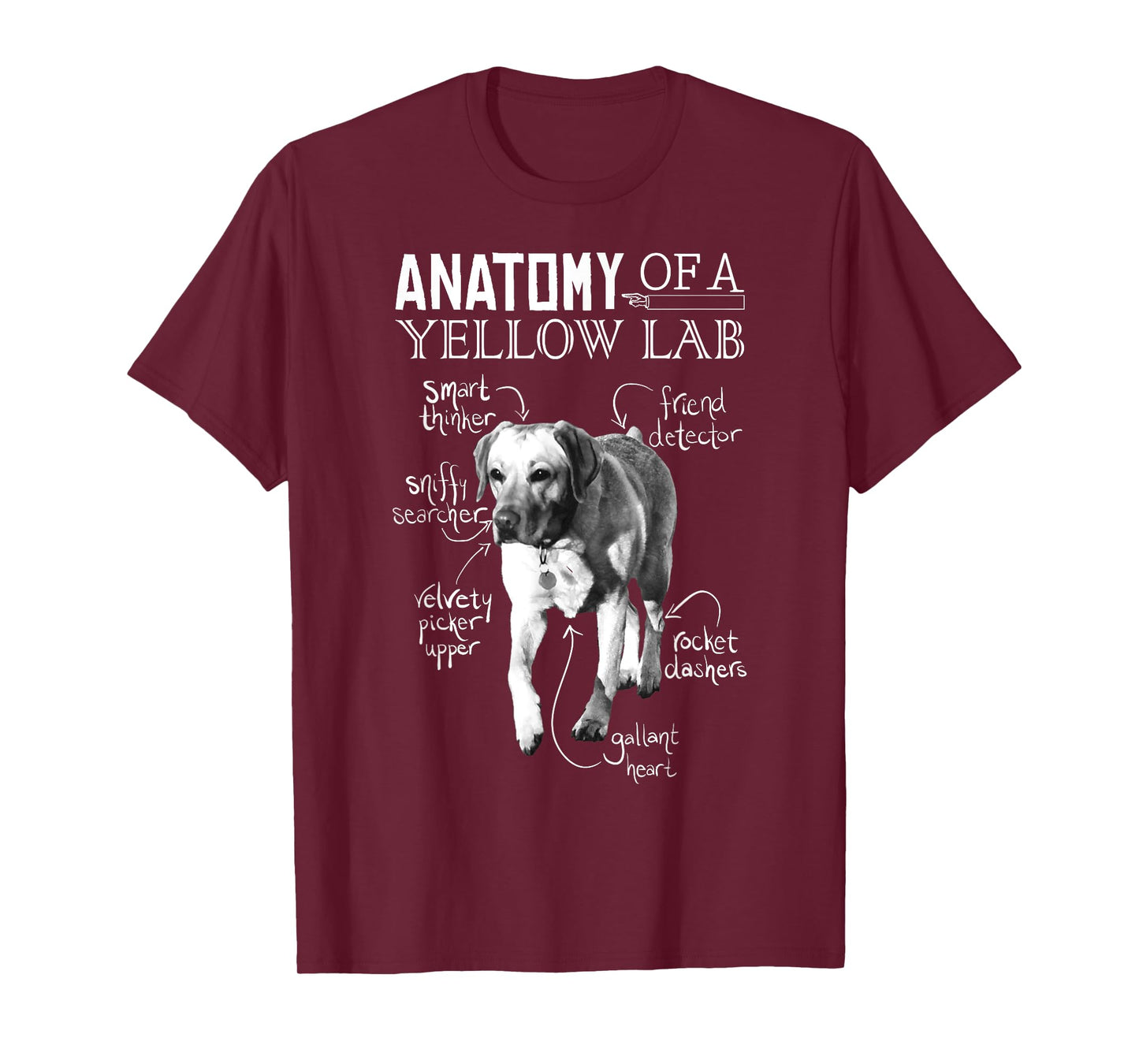Anatomy of a Yellow Lab Chalkboard, Labrador Retriever Lover T-Shirt