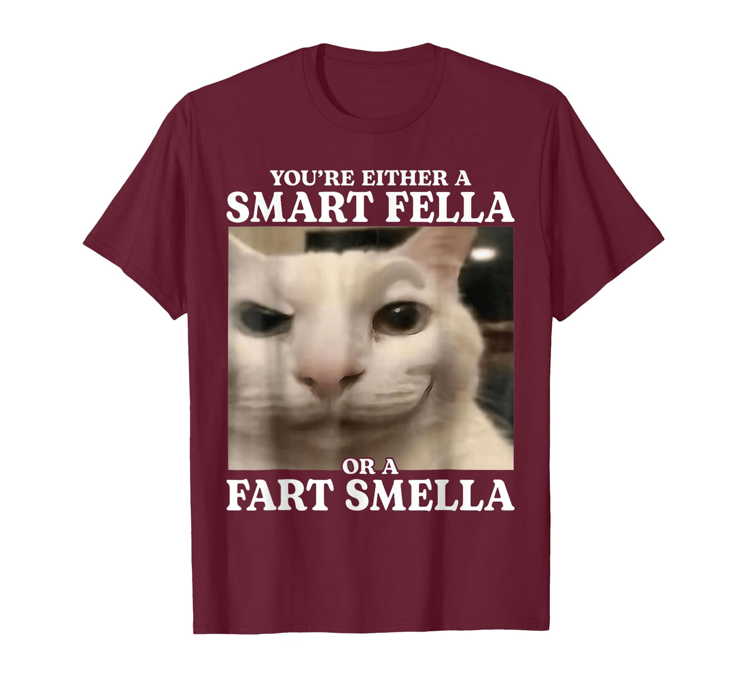 You're Either a Smart Fella or a Fart Smella Cat Funny Meme T-Shirt