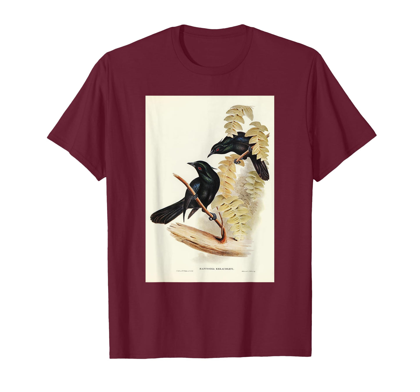 Keraudren's Crow-Shrike Birds Illustration For Men & Women T-Shirt