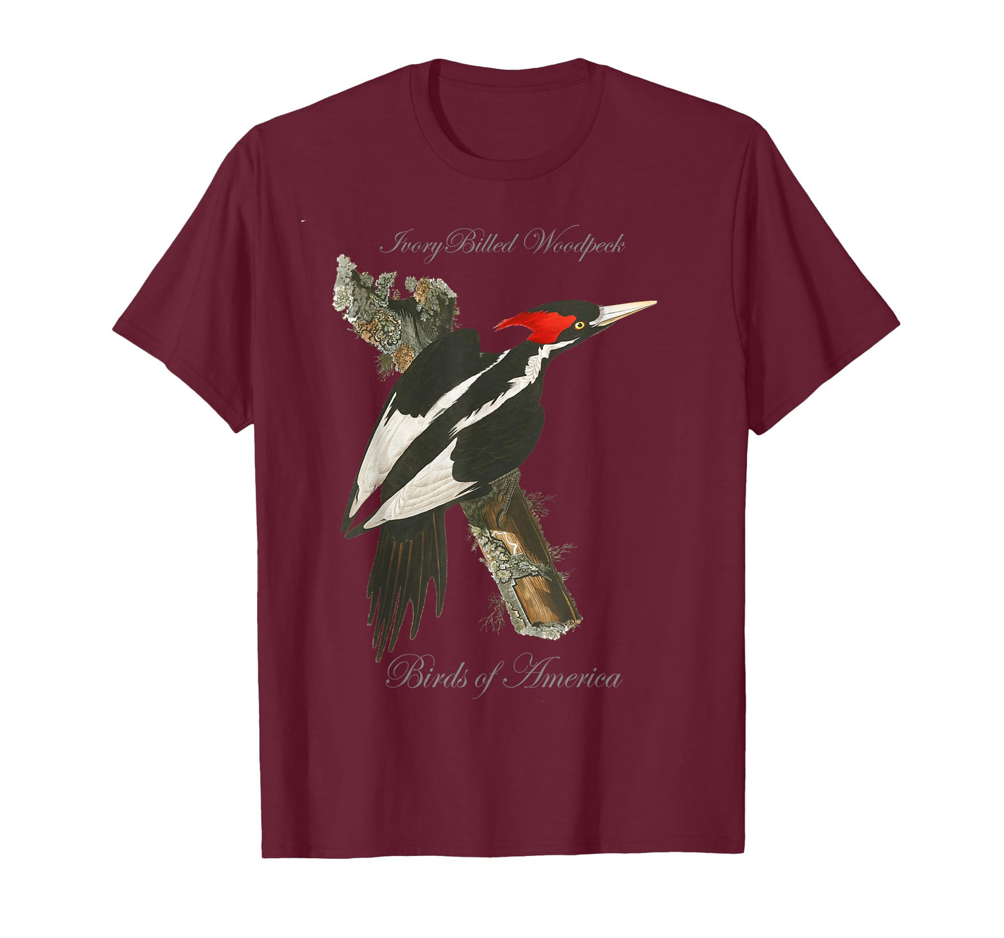 Ivory Billed Woodpecker - Birds of America Series T-Shirt T-Shirt