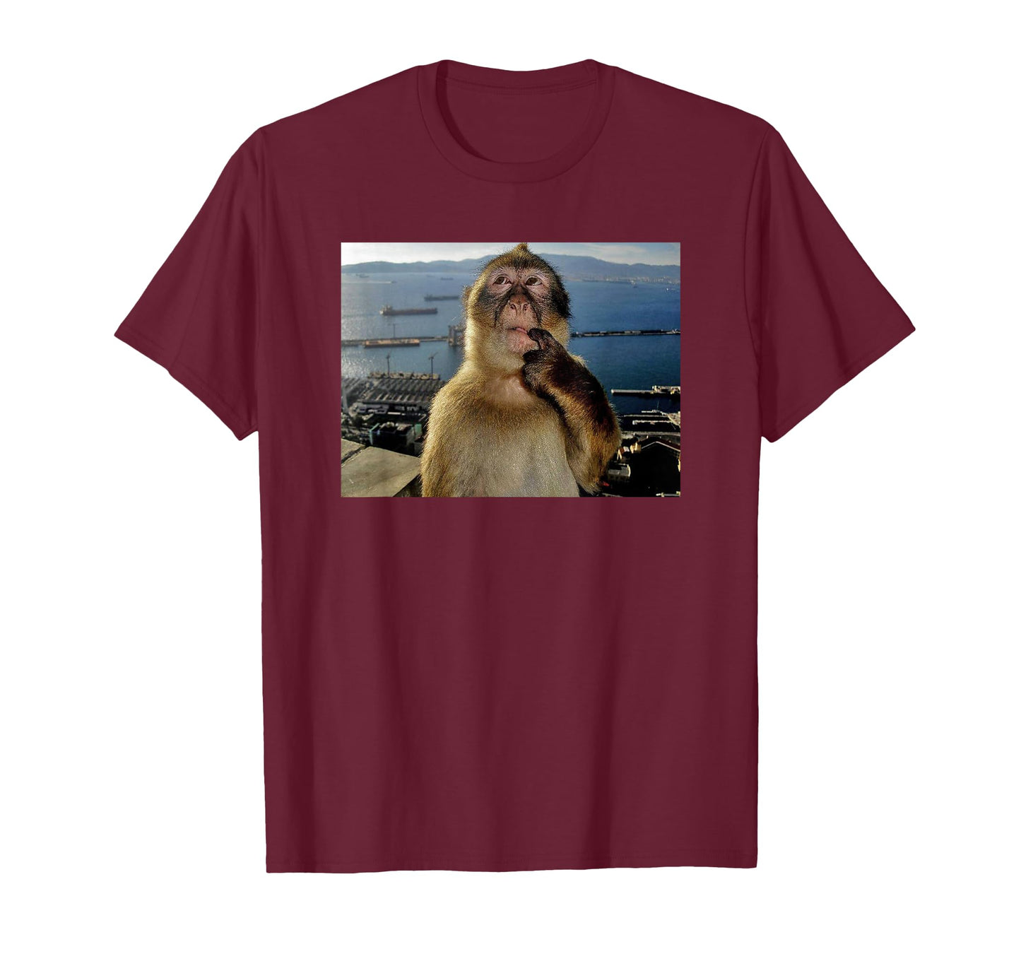Thinking Monkey Meme T-Shirt