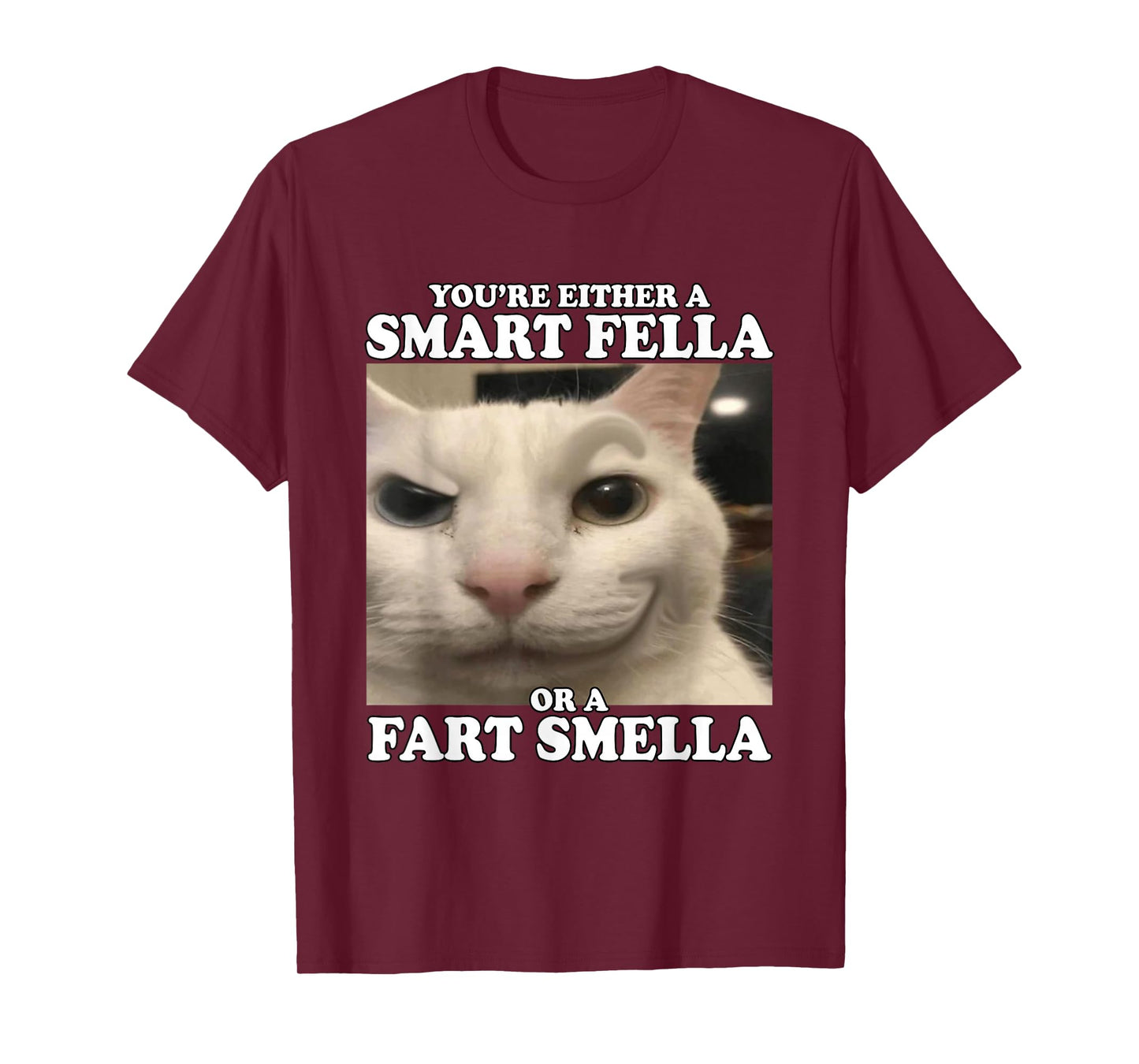 You're Either A Smart Fella Or A Fart Smella Funny Cat Meme T-Shirt