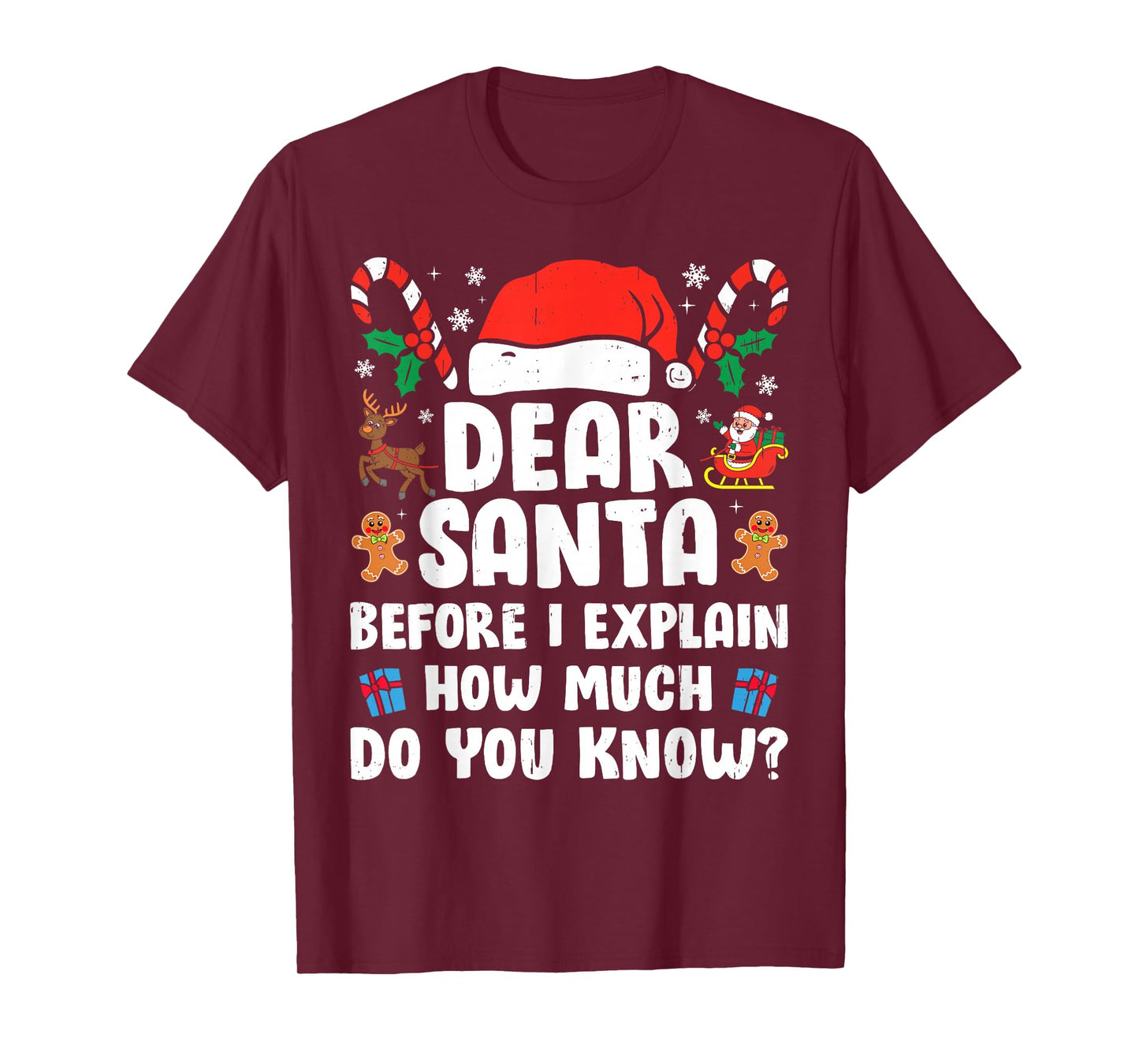 Dear Santa I Can Explain Funny Christmas Xmas Men Women Kids T-Shirt