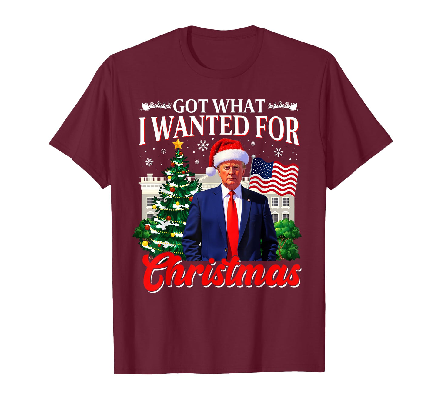 Got What I Wanted For Christmas Donald Trump 47th President T-Shirt