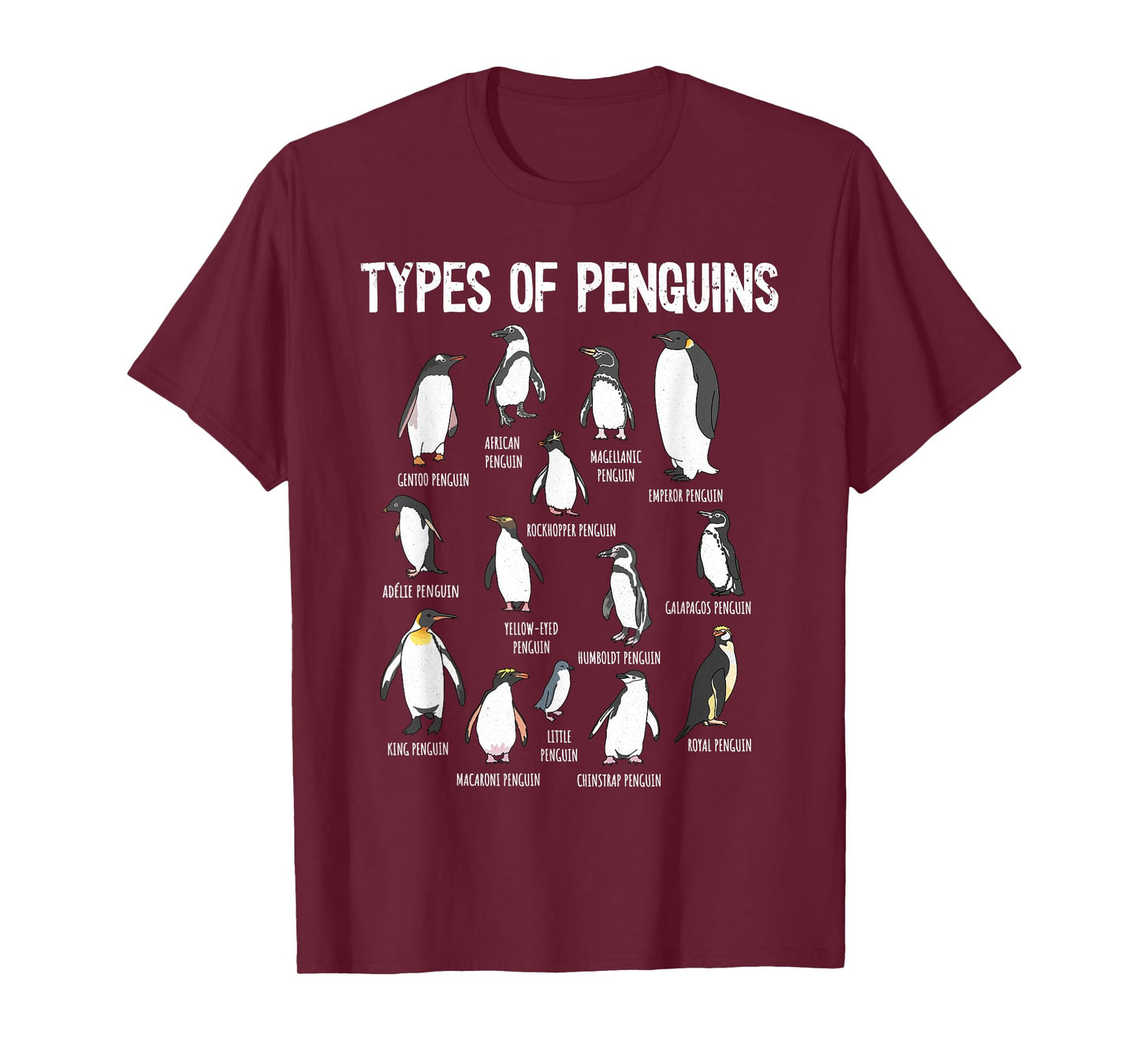 Penguin Types, Penguin Lover Art, Bird Lover, Penguin T-Shirt