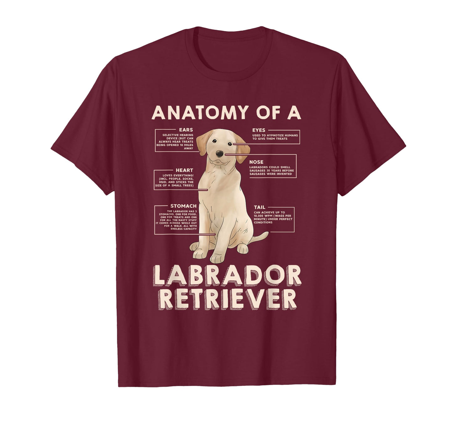 Funny Anatomy of a Labrador Retriever Graphic with Saying T-Shirt