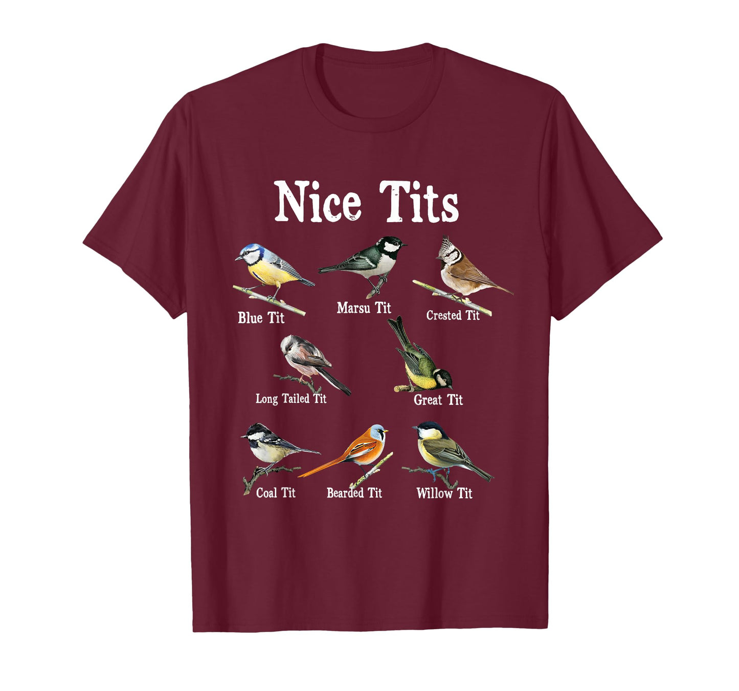 Nice Tits Bird Watching Funny Gifts Adults Men Birder Humor T-Shirt