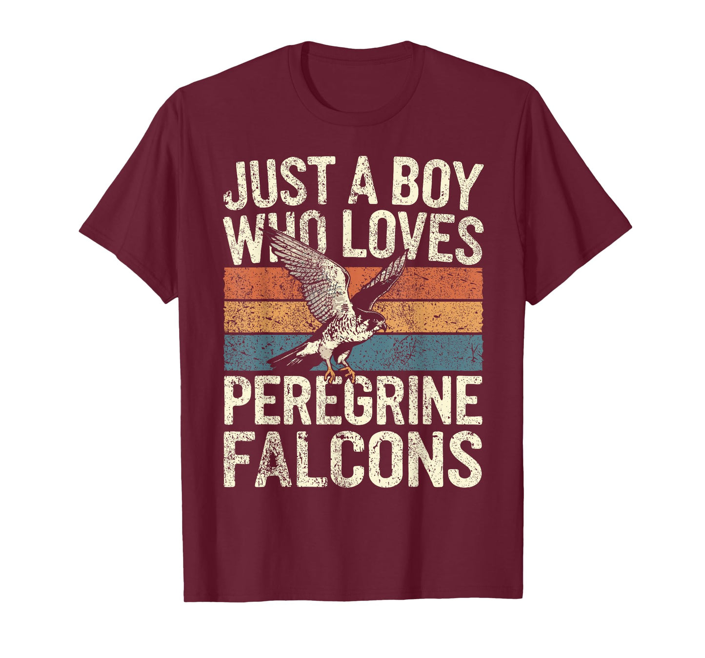 Falconer Boy Loves Peregrine Falcons Falconry T-Shirt