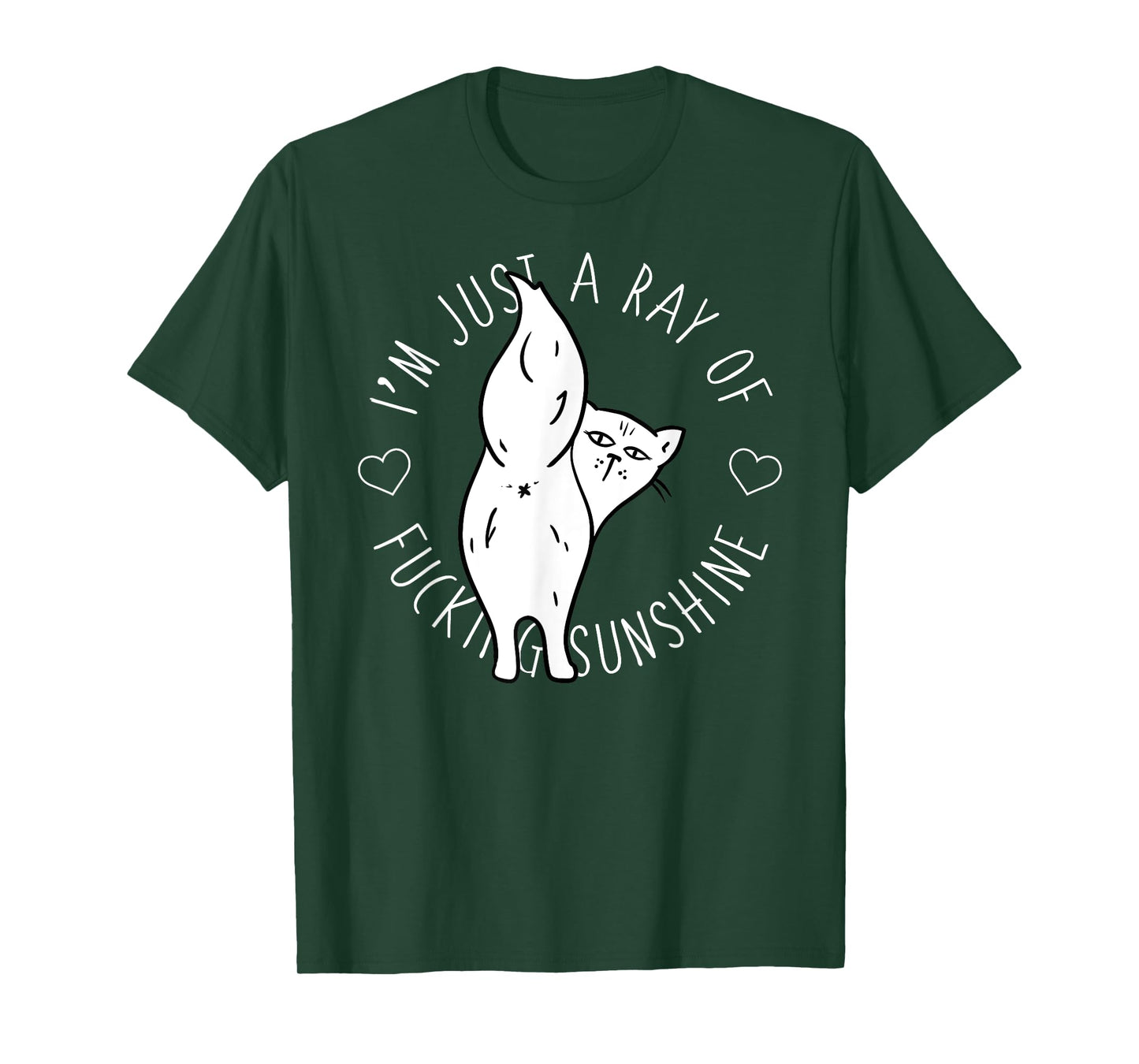 Salty Cat Ray of Fucking Sunshine Shirt Swear Offensive Men Women T-Shirt