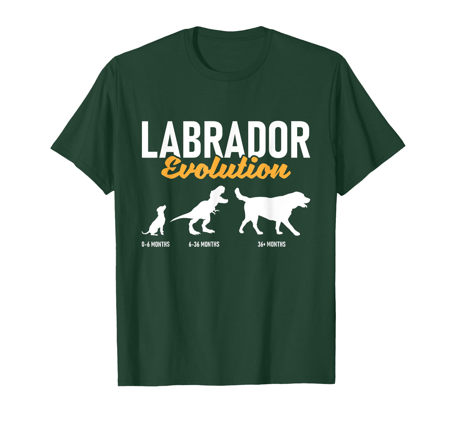 Labrador Evolution - Pet Owner Animal Dog Lover T-Shirt