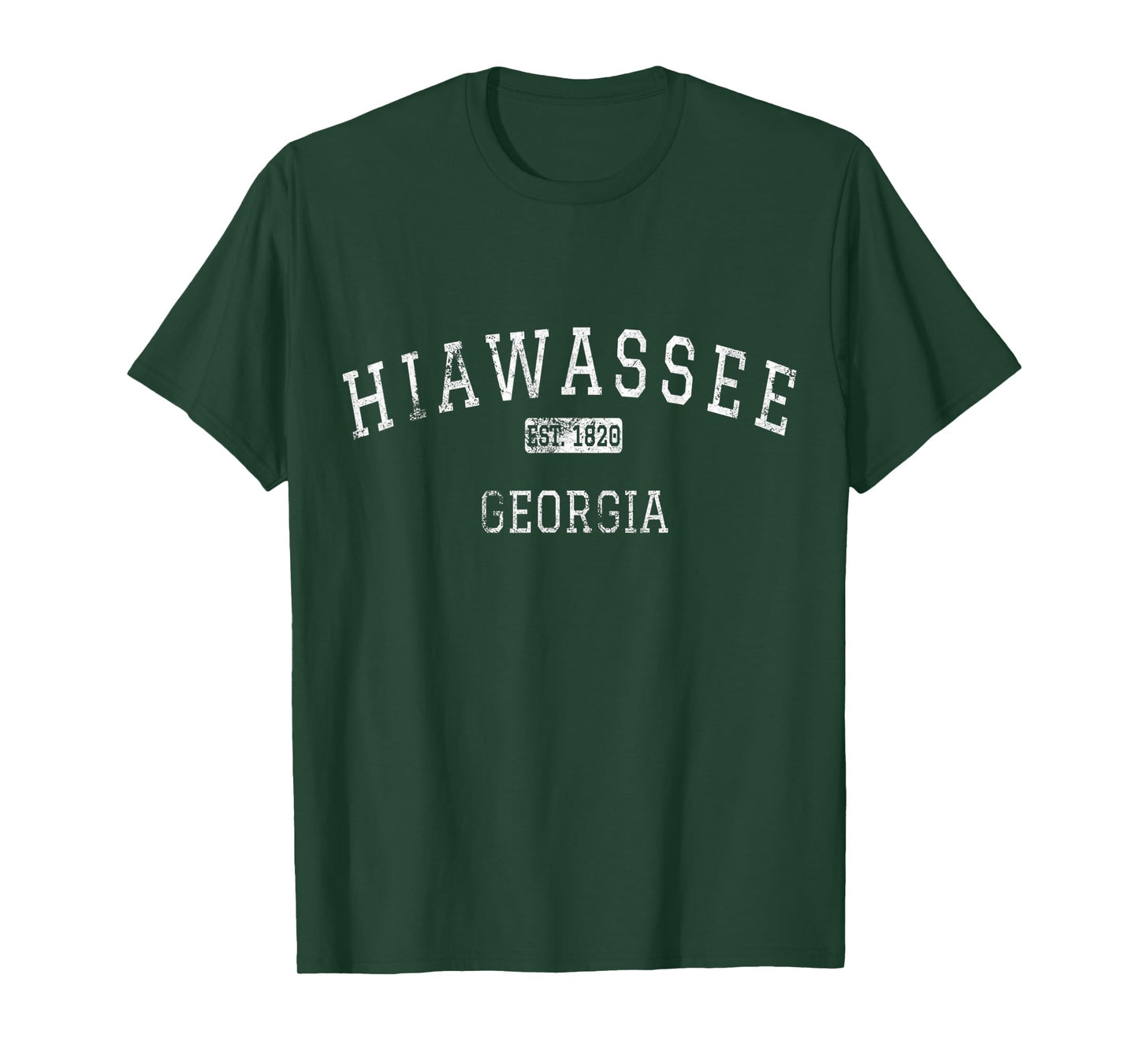 Hiawassee Georgia GA Vintage T-Shirt