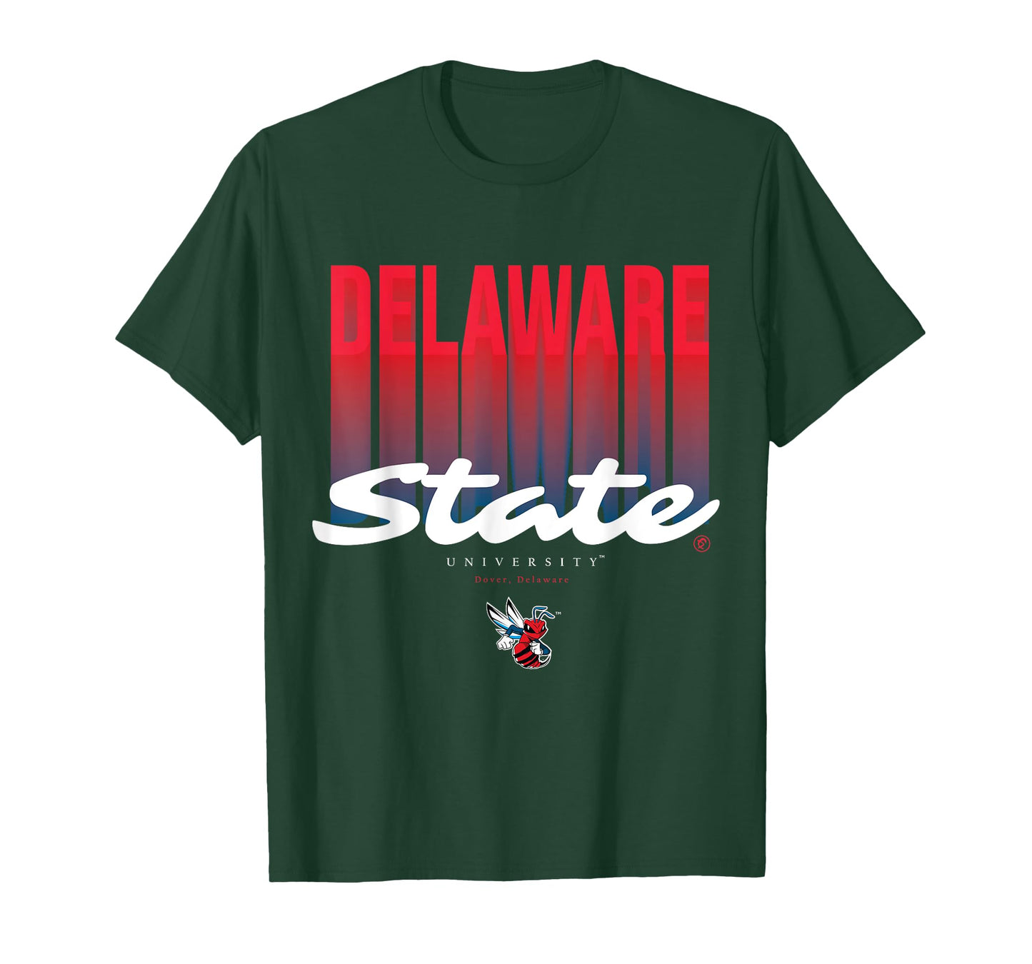 The Yard Essentials - Delaware State University - DSU Fade T-Shirt