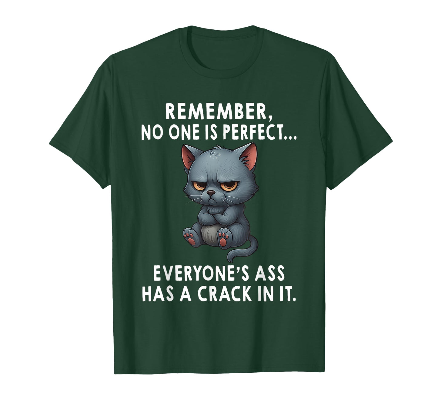 Remember No One is Perfect Everyone's Ass Has A Crack in It T-Shirt