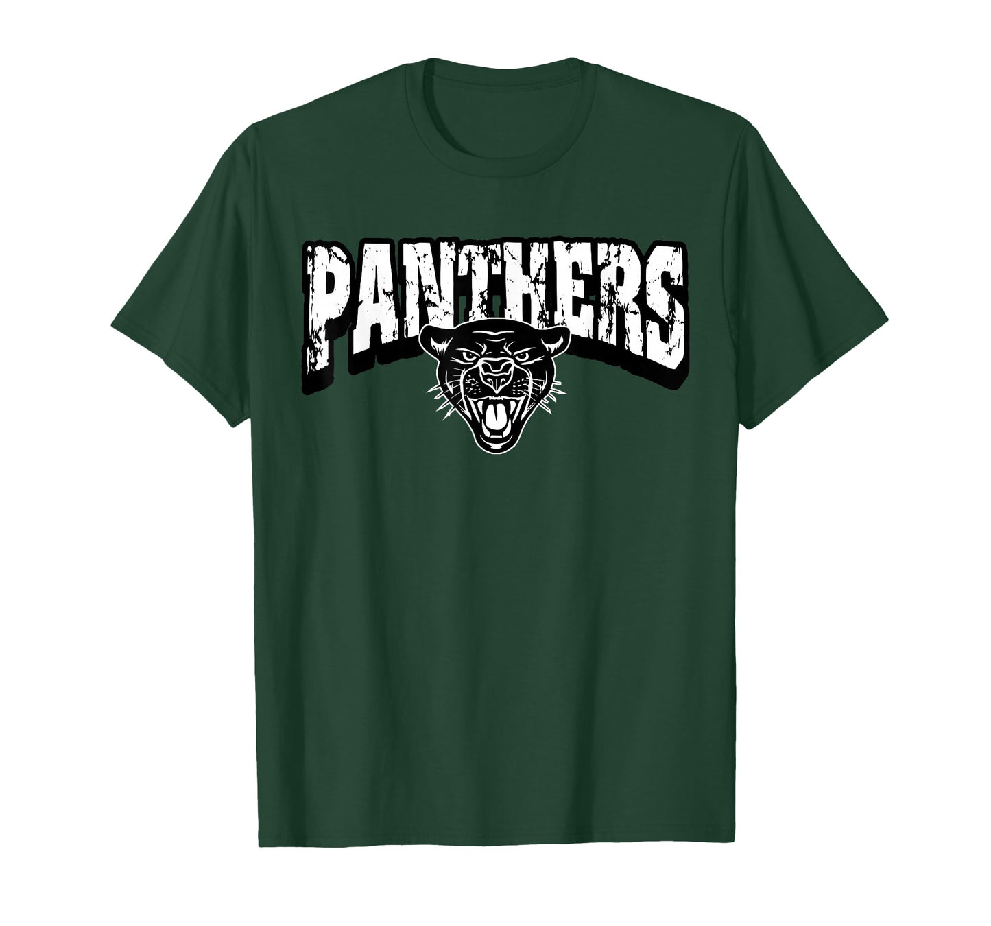 Panthers Back to School Spirit T-Shirt