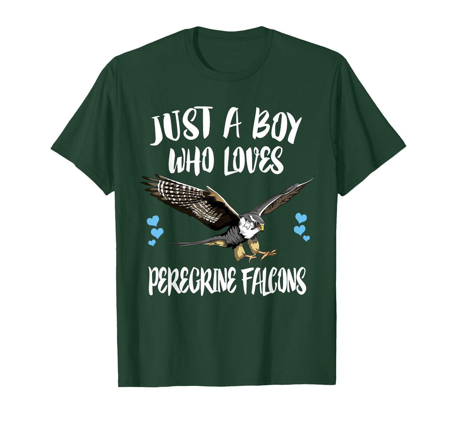 Just A Boy Who Loves Peregrine Falcons Birds T-Shirt
