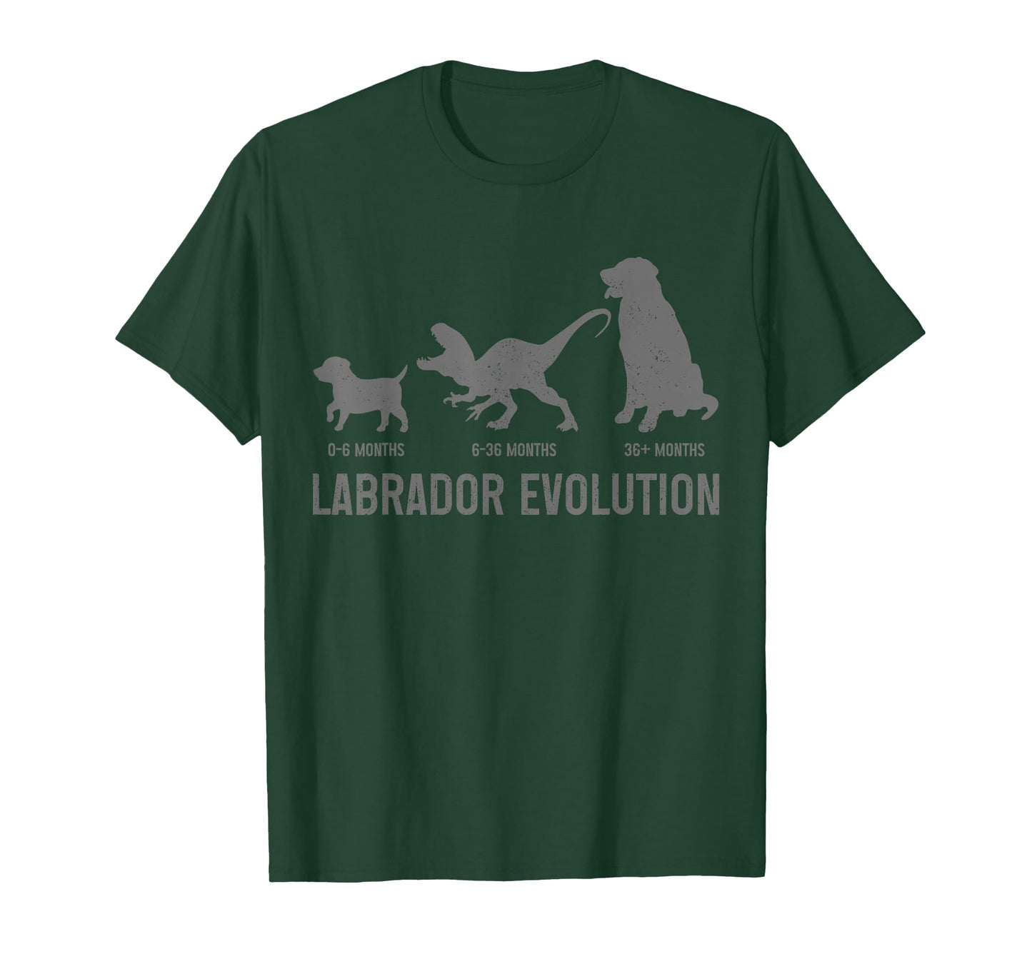 Labrador Evolution Funny Labrador Retriever Mom Dad Dog T-Shirt