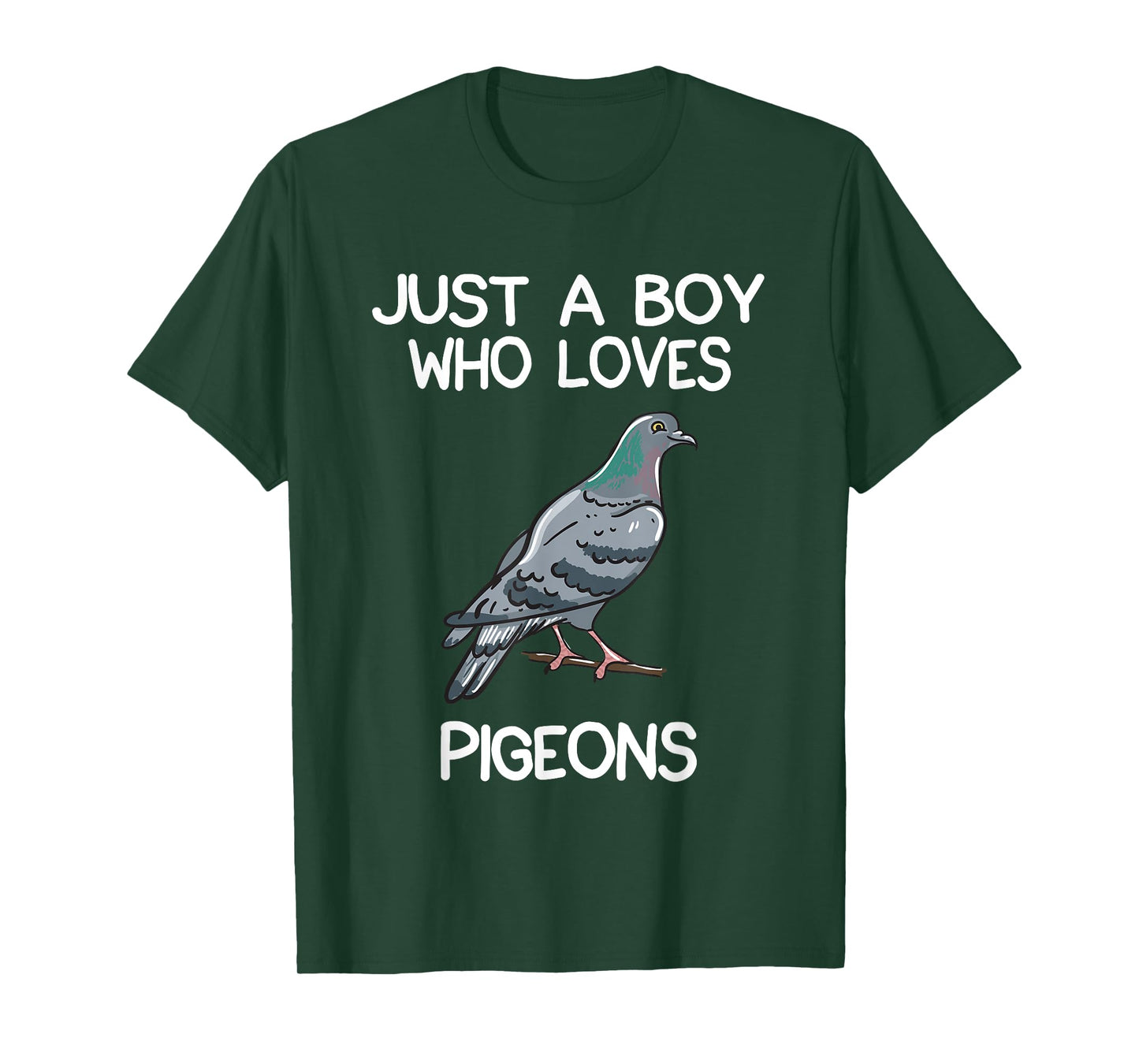 Just A Boy Who Loves Pigeons Owner Lover Gift Pigeon Love T-Shirt