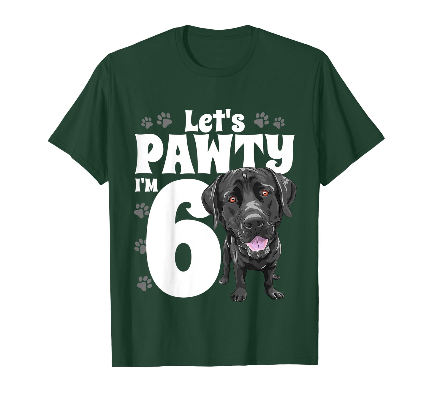6 Year Old Black Lab Dog Birthday Pawty Labrador 6th Gift T-Shirt for Kids
