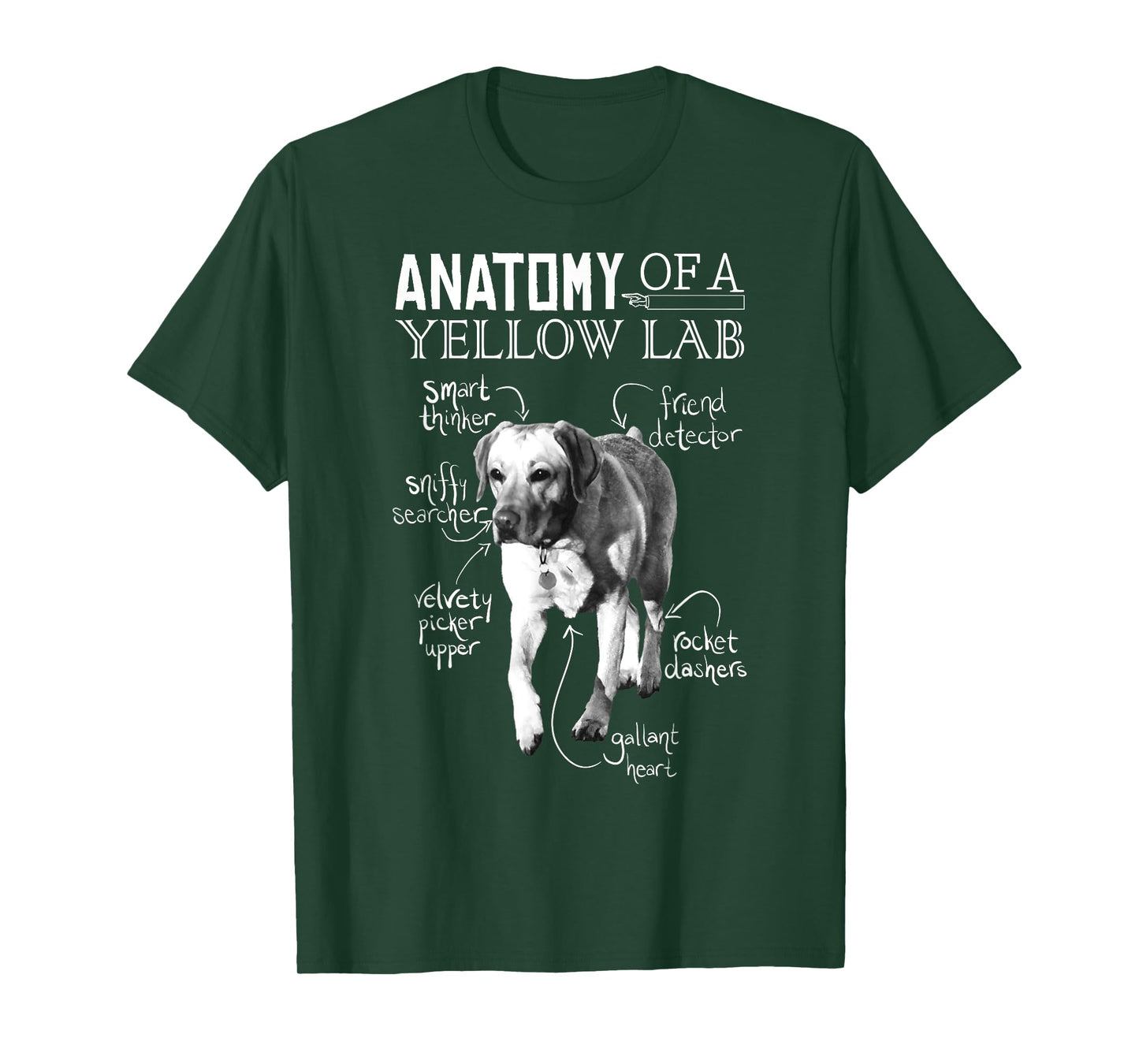 Anatomy of a Yellow Lab Chalkboard, Labrador Retriever Lover T-Shirt