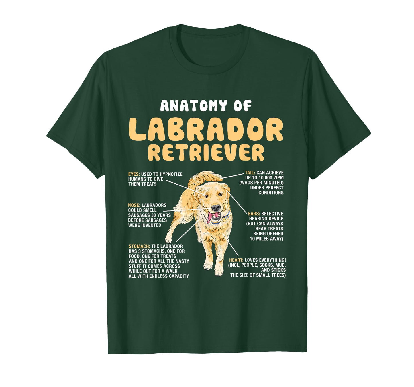 Anatomy Of Labrador Retriever Lovers Funny Lab Owners T-Shirt