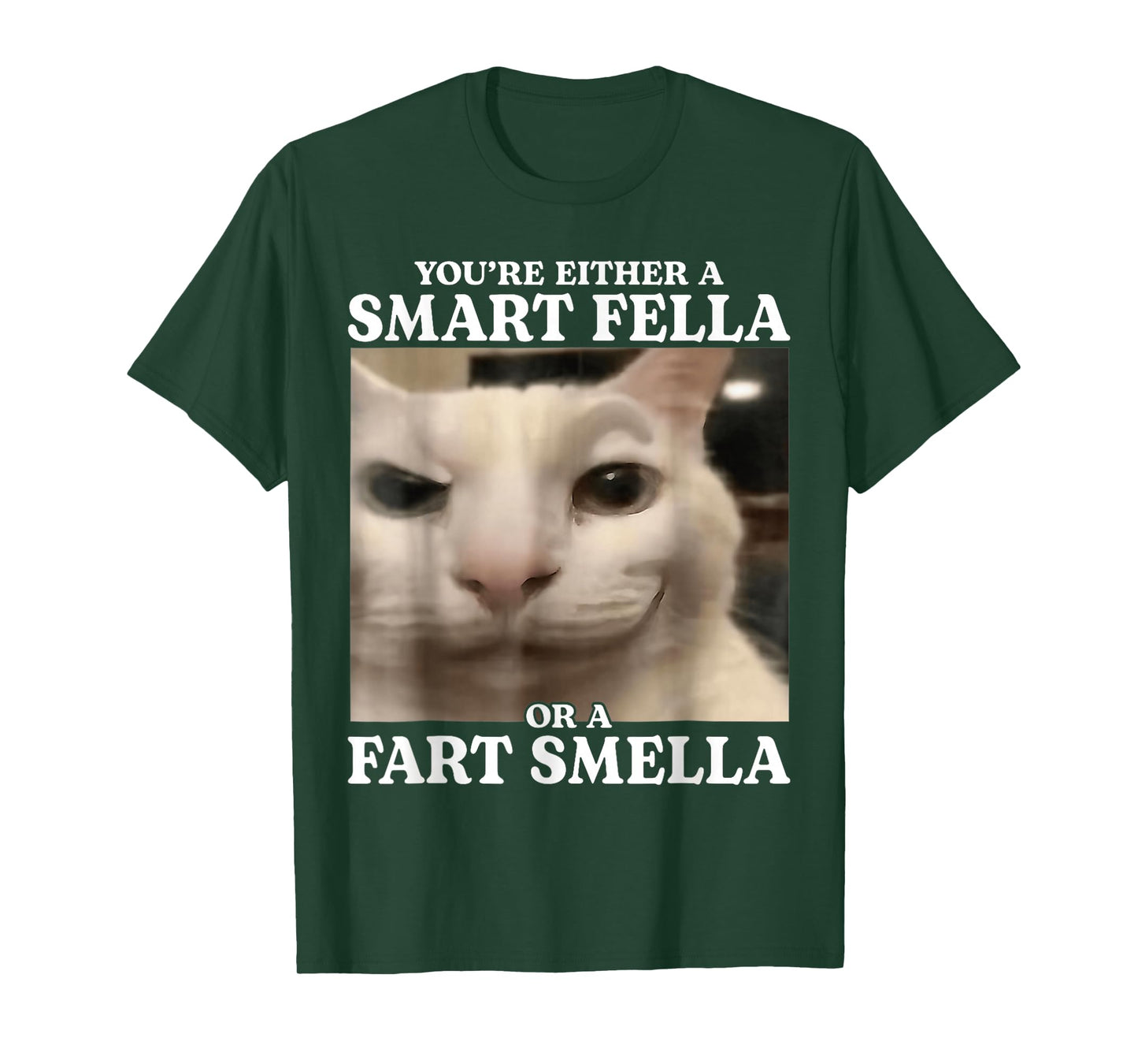 You're Either a Smart Fella or a Fart Smella Cat Funny Meme T-Shirt
