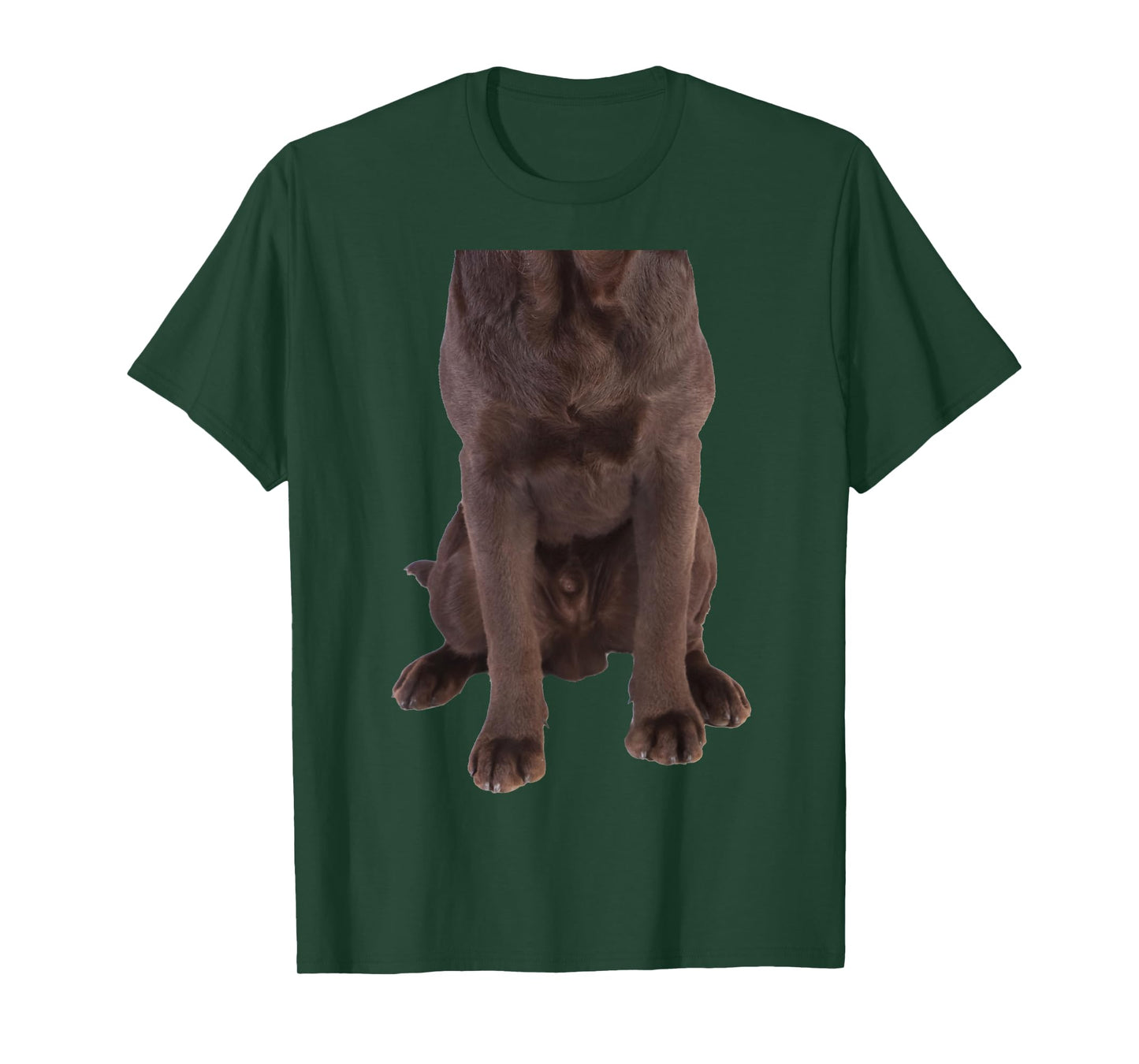 Brown Labrador Retriever Chocolate Lab Funny Dog Costume T-Shirt for Men Women Girls Kids