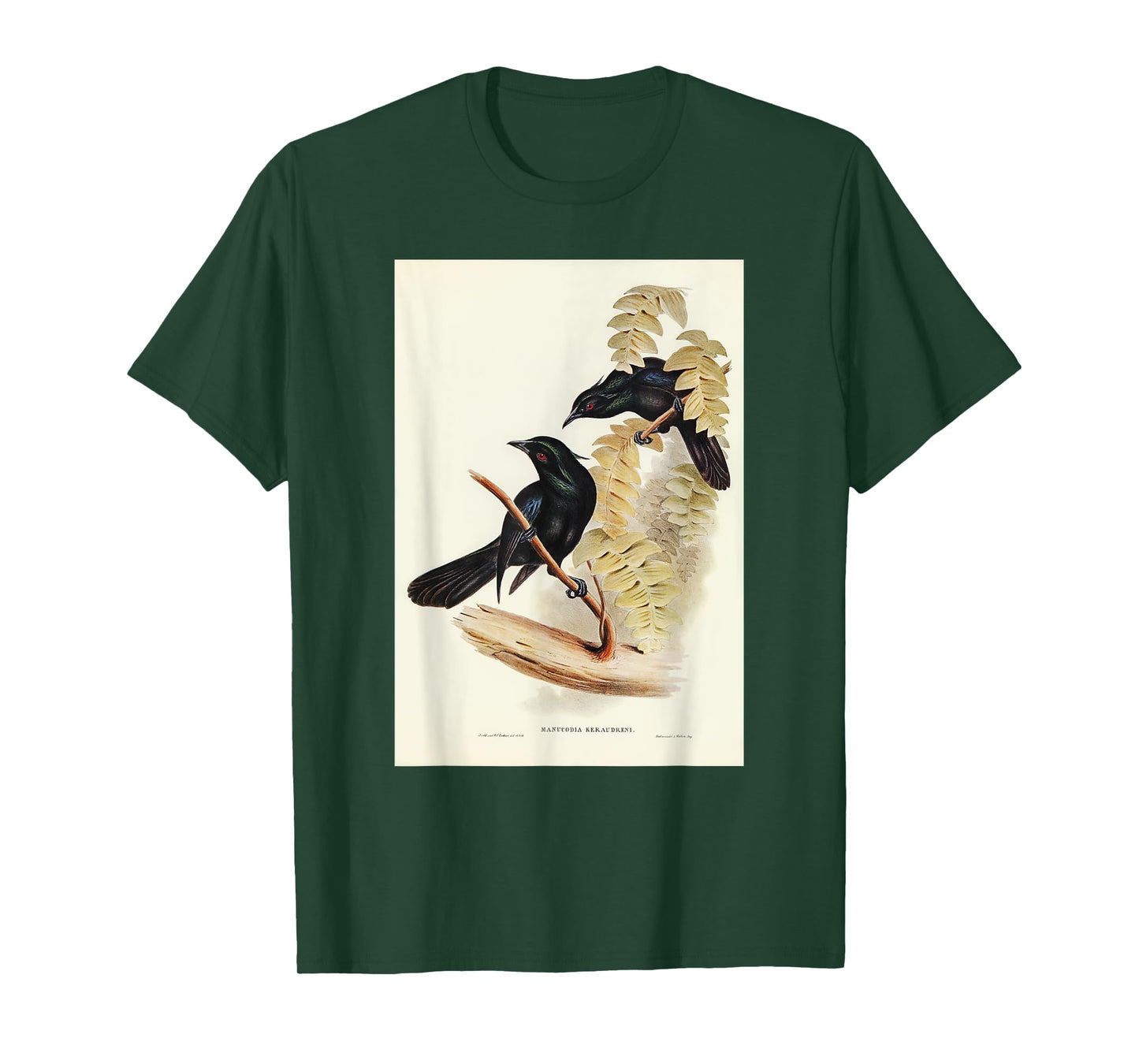 Keraudren's Crow-Shrike Birds Illustration For Men & Women T-Shirt