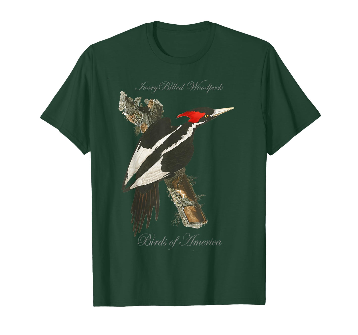 Ivory Billed Woodpecker - Birds of America Series T-Shirt T-Shirt