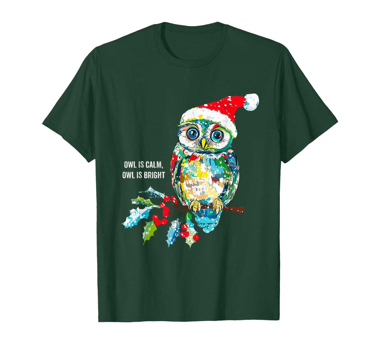 Funny Owl Wearing Santa Claus Hat Christmas Holiday Meme T-Shirt