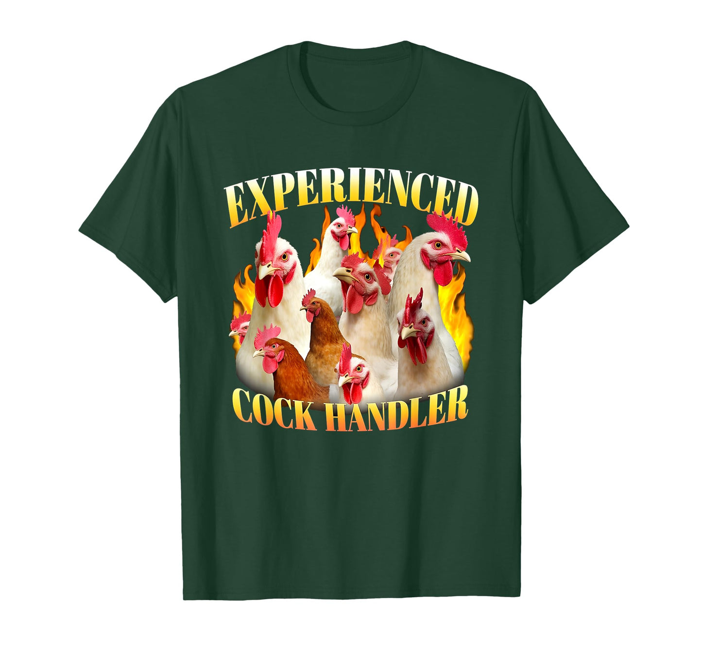 Experienced Cock Handler Funny Chicken Women's Raunchy T-Shirt