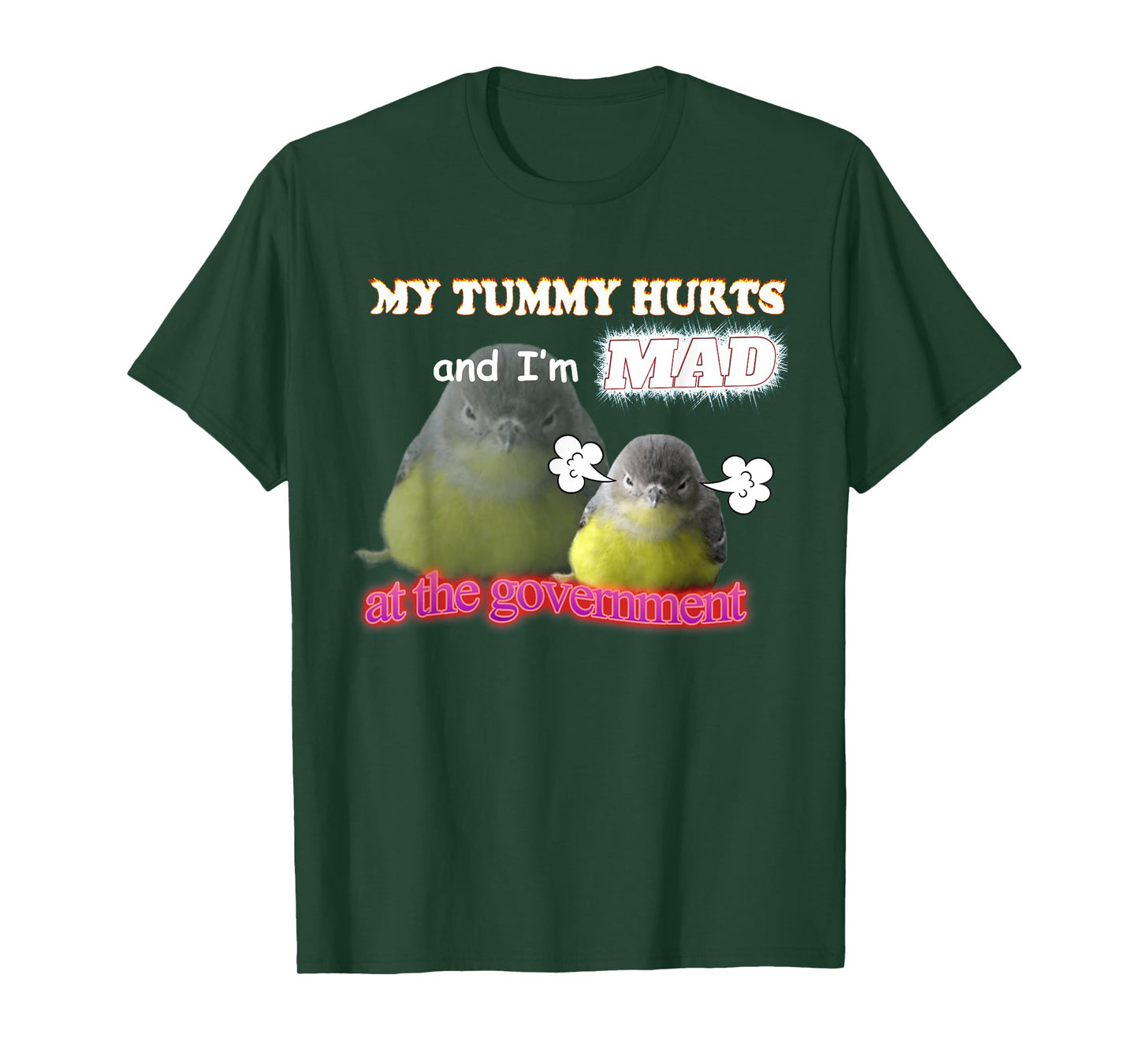 My Tummy Hurts And I'm Mad At The Government Birb Meme T-Shirt