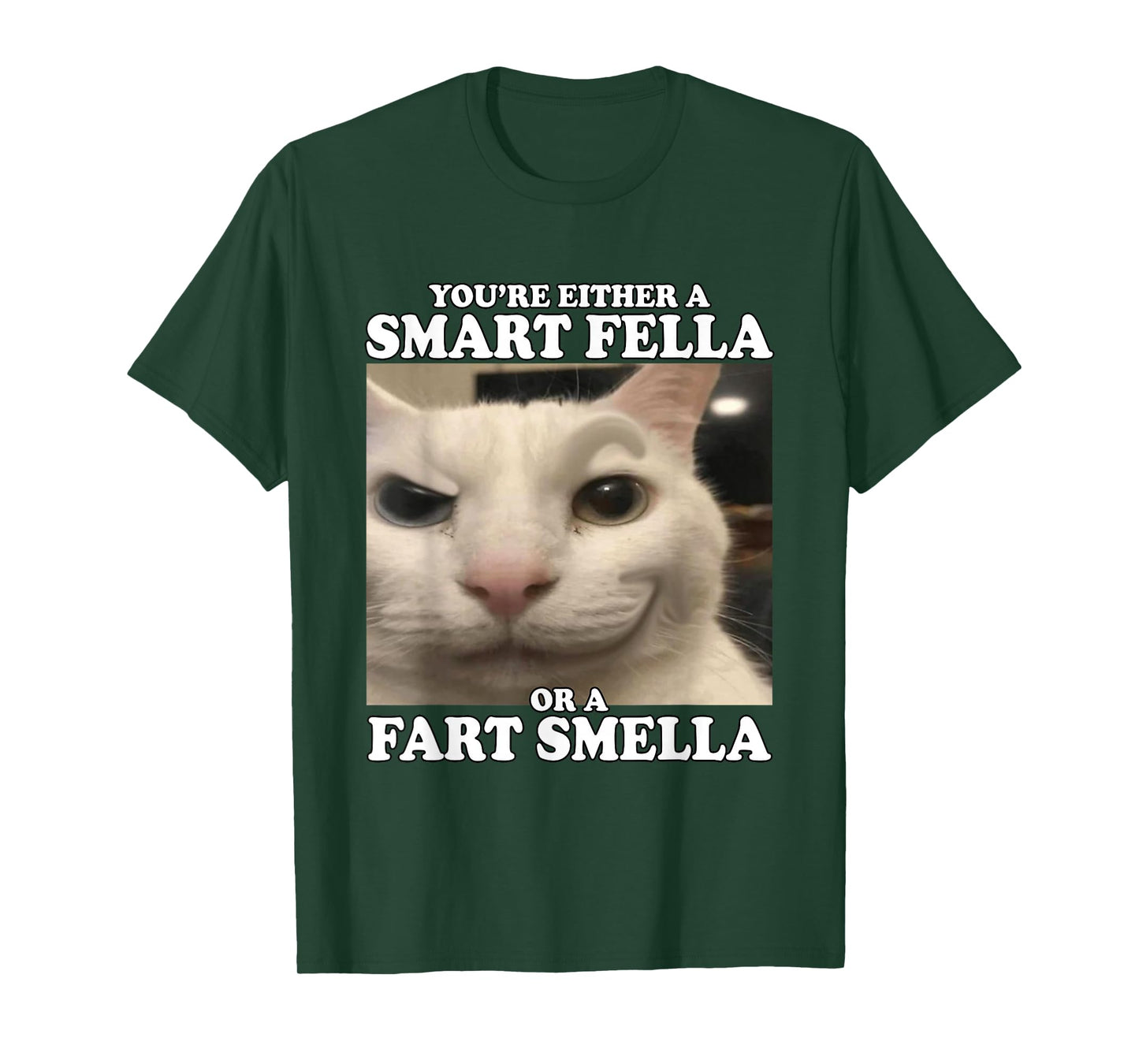 You're Either A Smart Fella Or A Fart Smella Funny Cat Meme T-Shirt