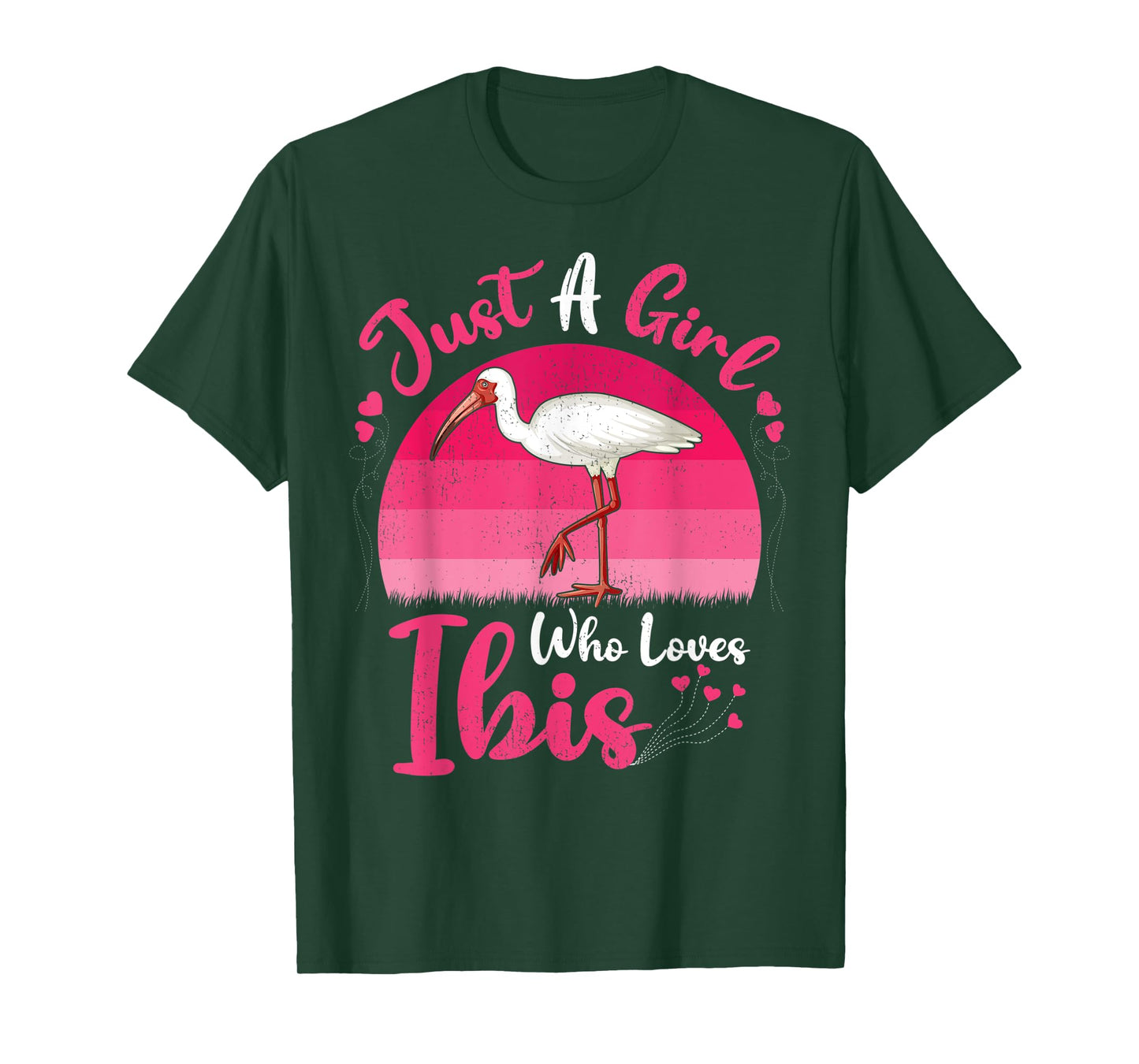 Vintage Ibis Bird Lover Just A Girl Who Loves Ibis T-Shirt