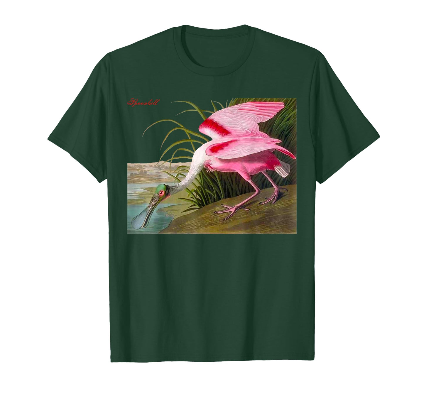 Audubon Spoonbill North American Birds Education Nature T-Shirt