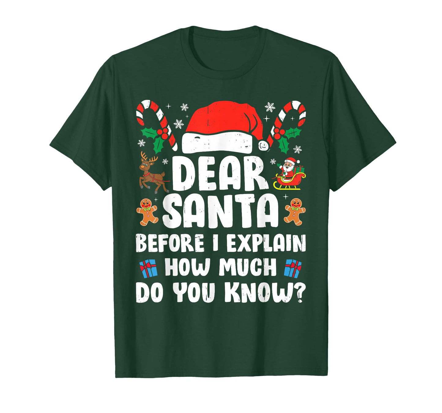 Dear Santa I Can Explain Funny Christmas Xmas Men Women Kids T-Shirt