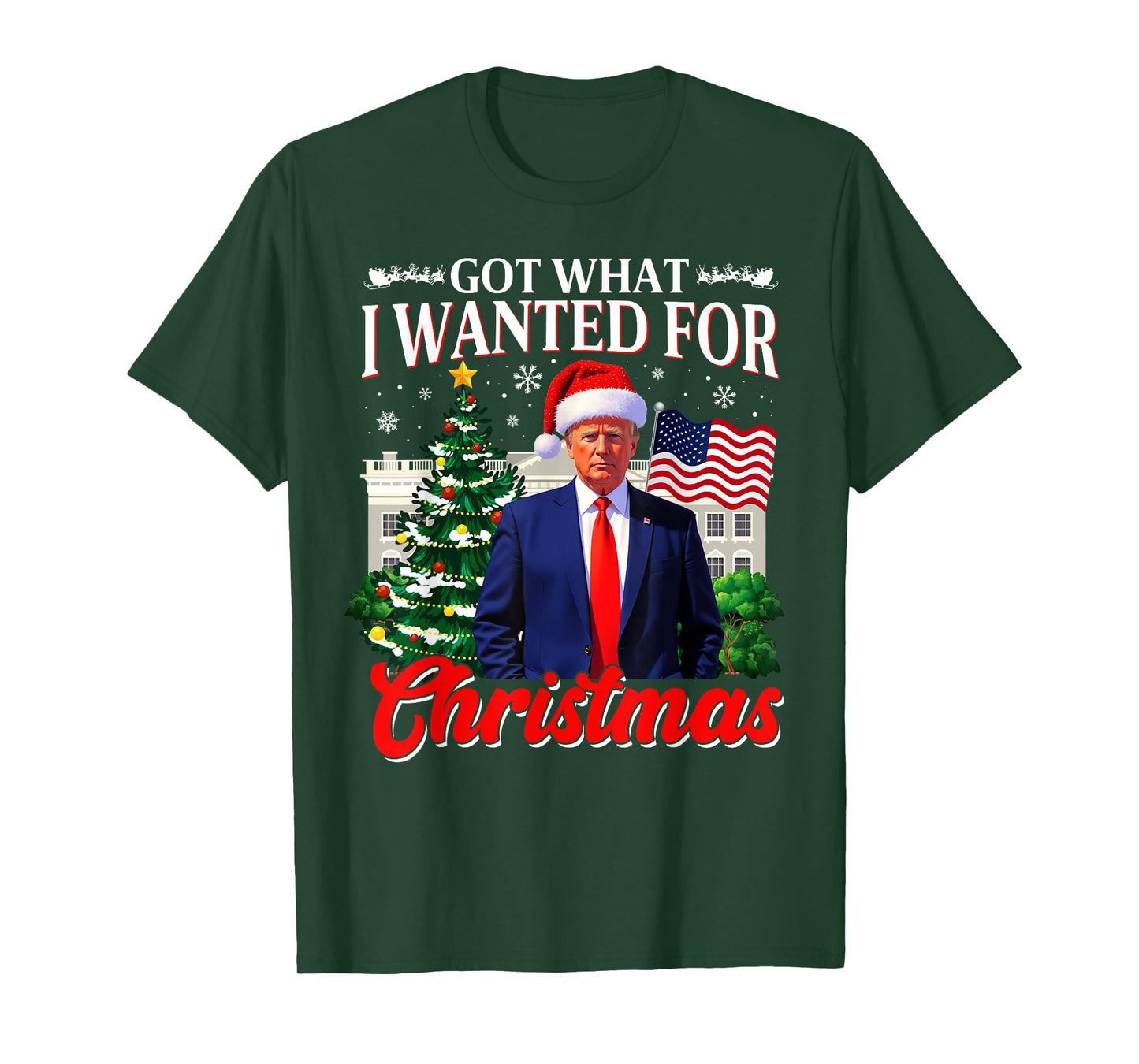 Got What I Wanted For Christmas Donald Trump 47th President T-Shirt