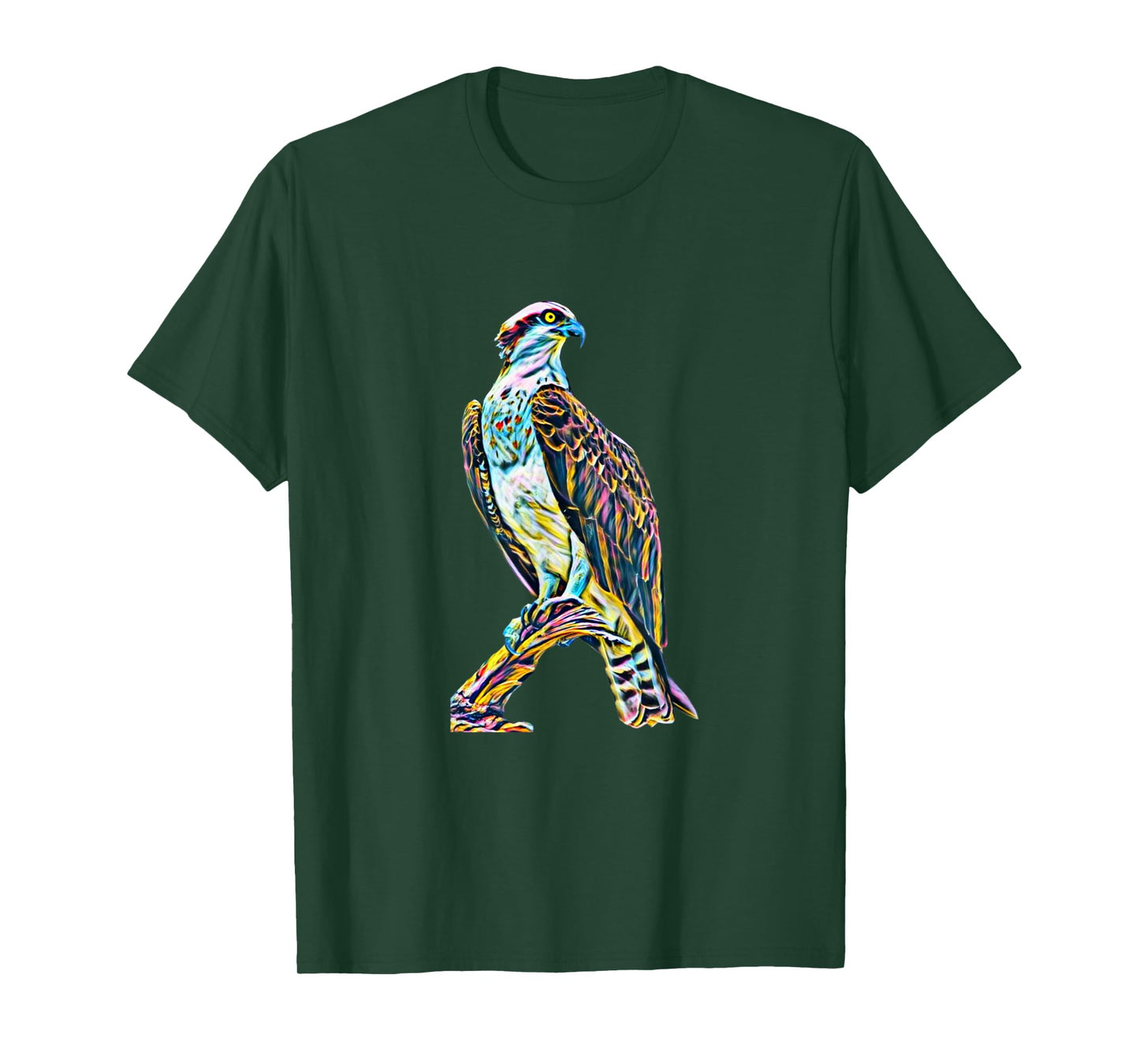 Hawk Bird of Prey Motif Beak Claws Birds colorful Falcon T-Shirt
