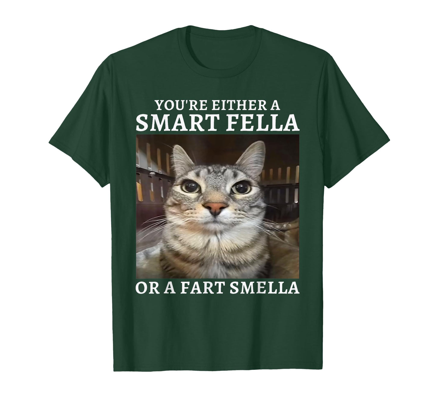 You're Either a Smart Fella or a Fart Smella Funny Cat Meme T-Shirt