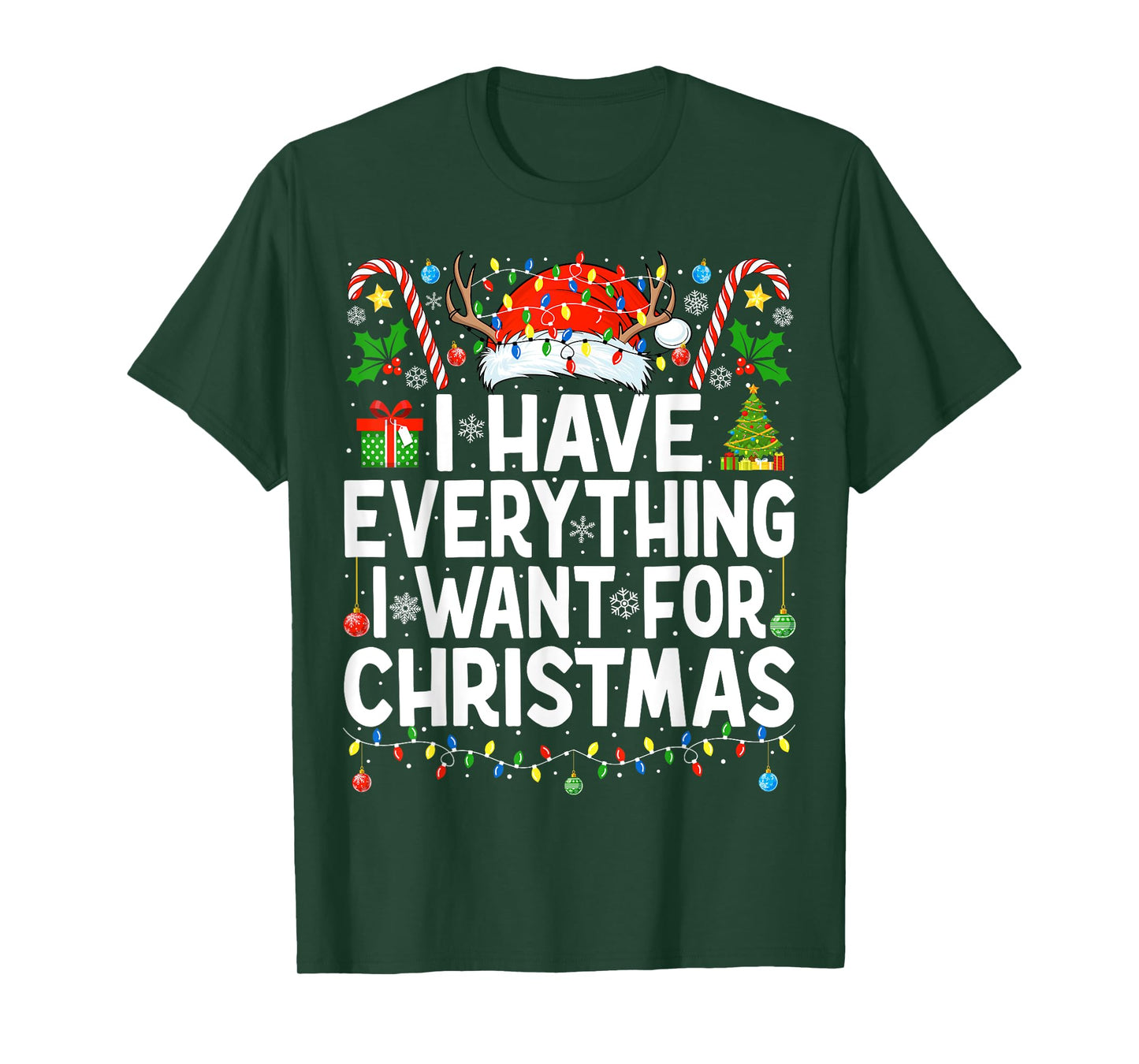 Have Everything I Want for Christmas Couple Pajama Couples T-Shirt