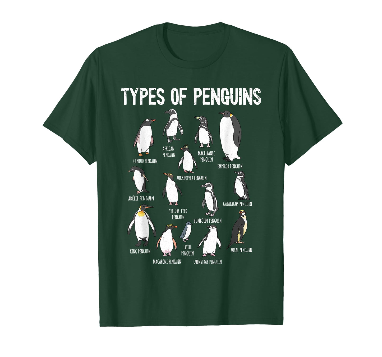 Penguin Types, Penguin Lover Art, Bird Lover, Penguin T-Shirt