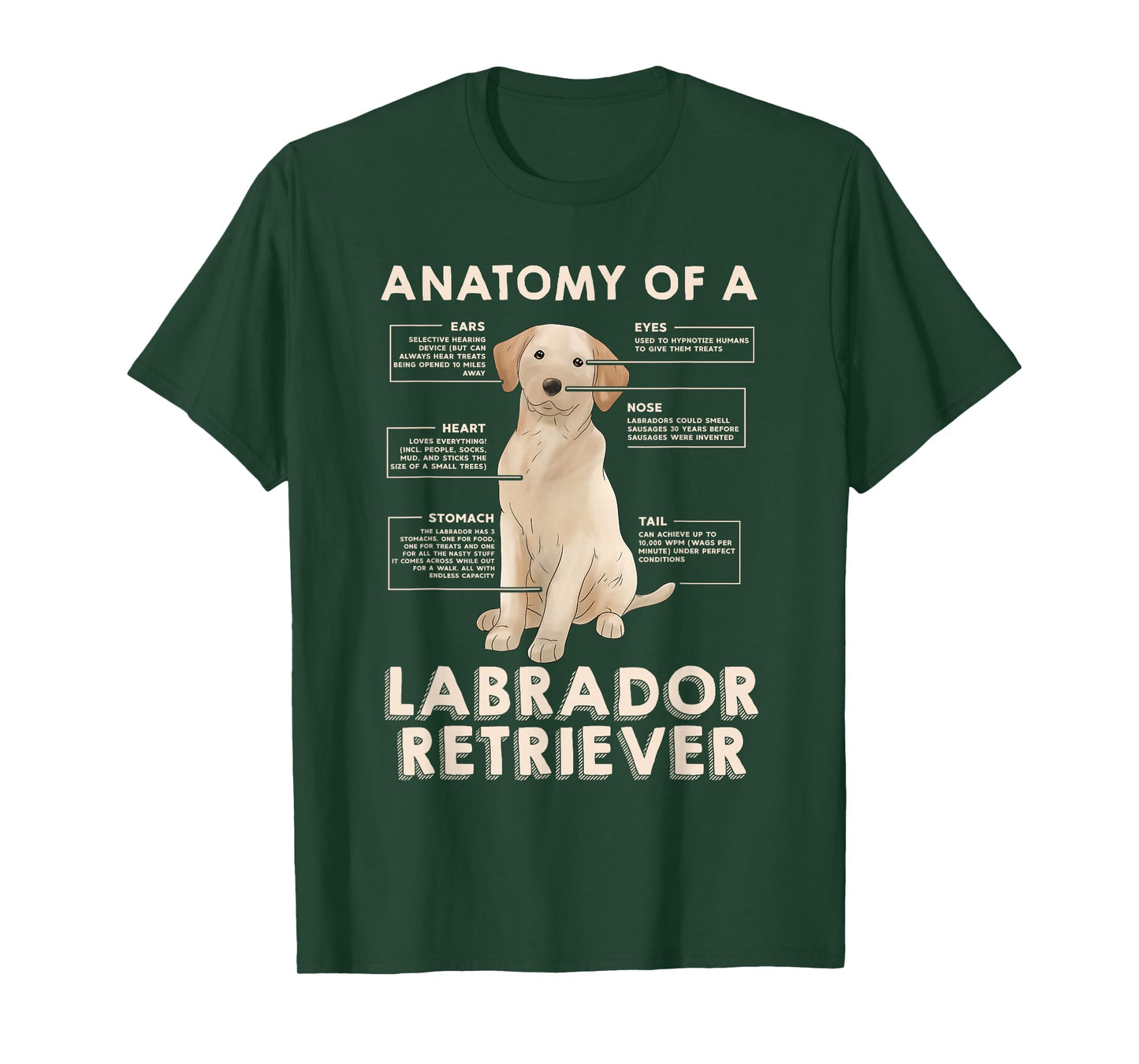 Funny Anatomy of a Labrador Retriever Graphic with Saying T-Shirt