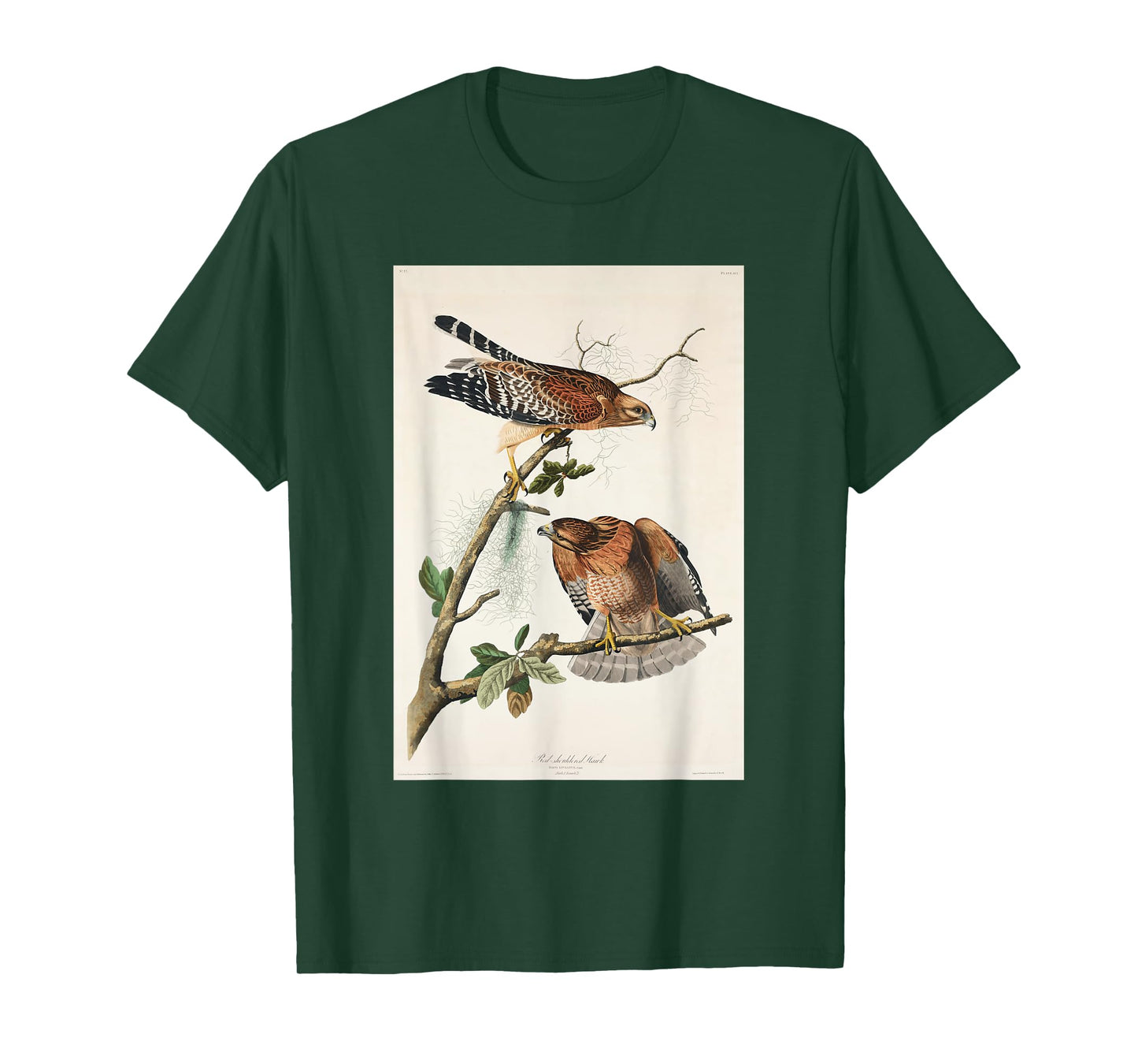 Vintage Red-Shouldered Hawks Birds Illustration Men & Women T-Shirt